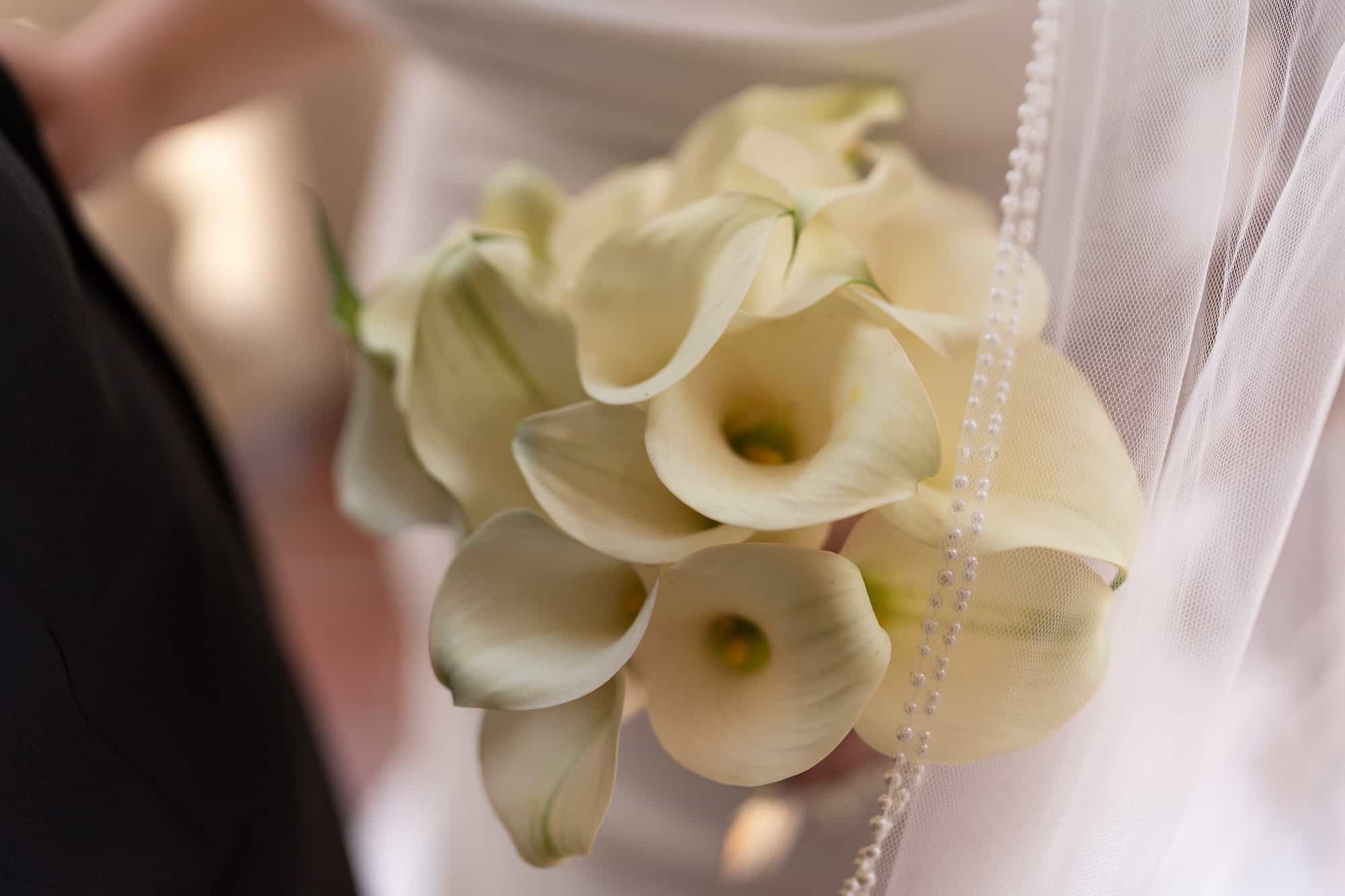 Pasadena City Hall Elopement