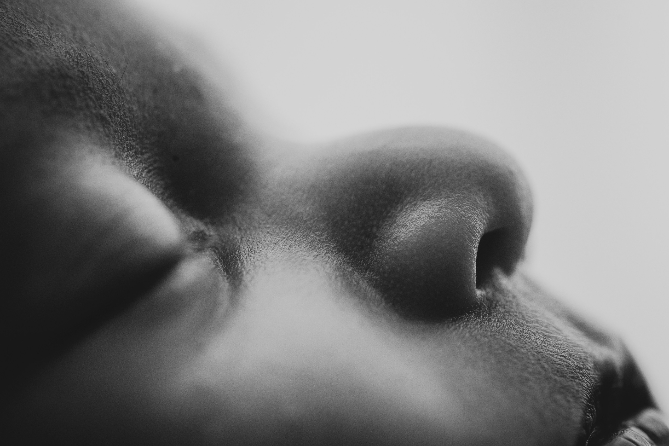 Newborn. Fotografo di famiglia, neonati, maternity, ritratti, matrimoni, cerimonie, Rimini