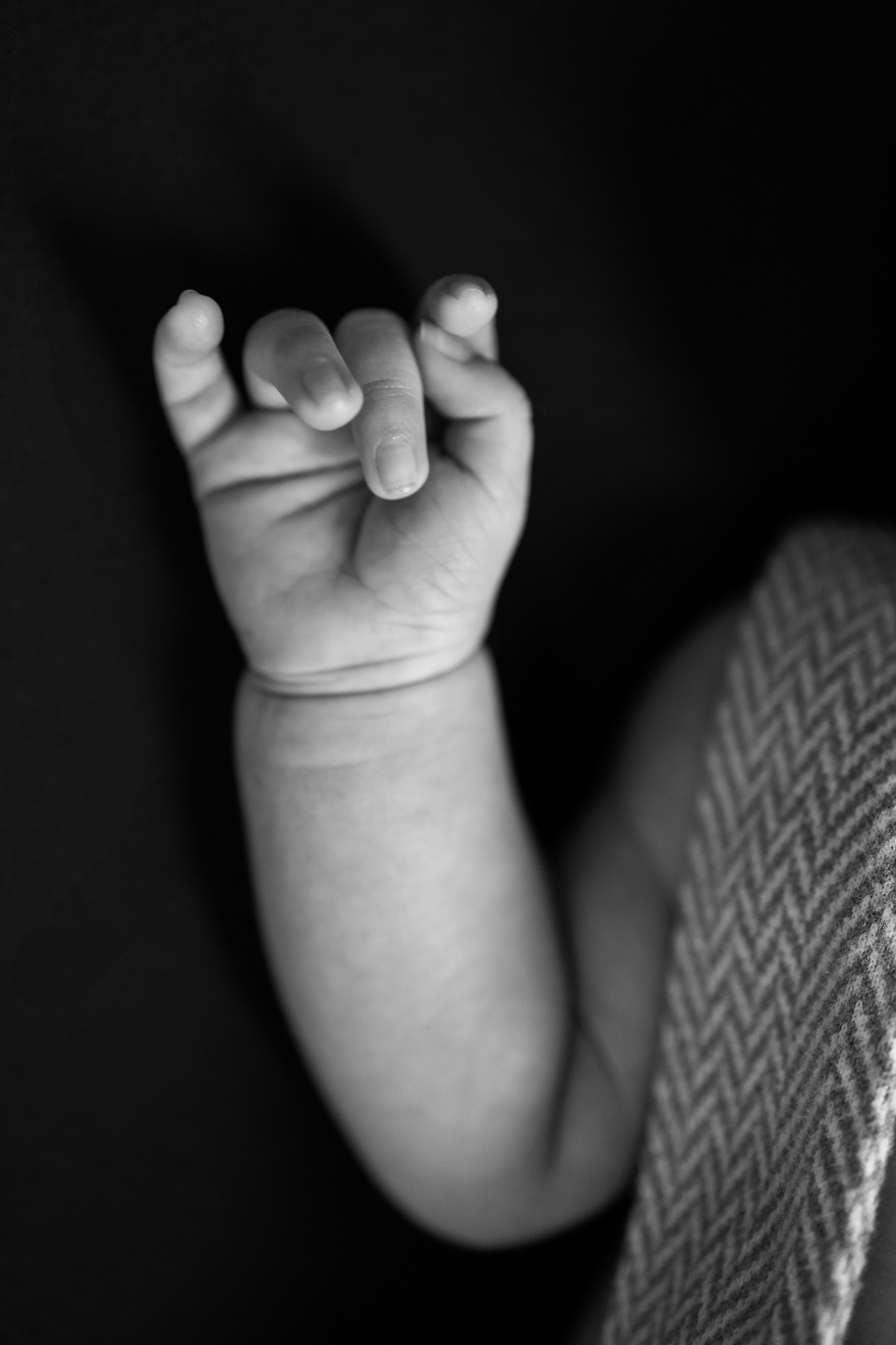 Newborn. Anaeliseevaphoto.com