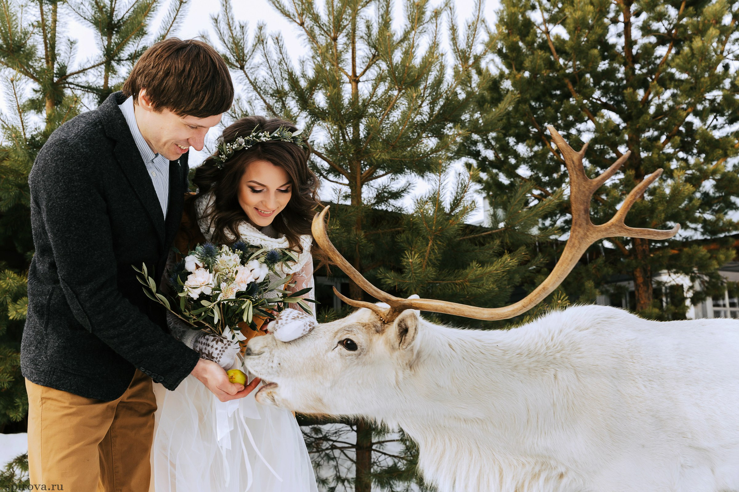 Wedding and family photographer 