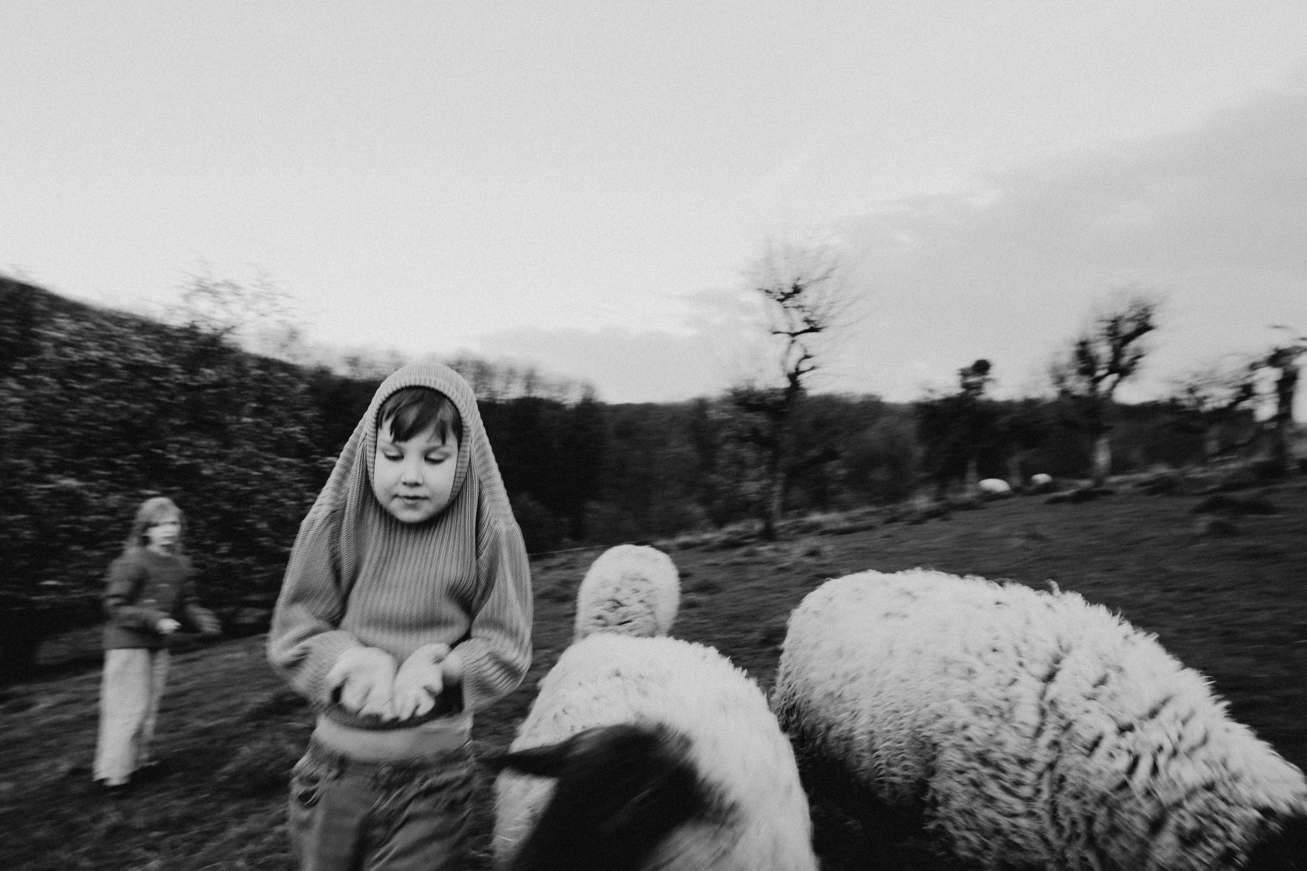 One year in a 500 years old house. Authentische Familienfotografie in Köln