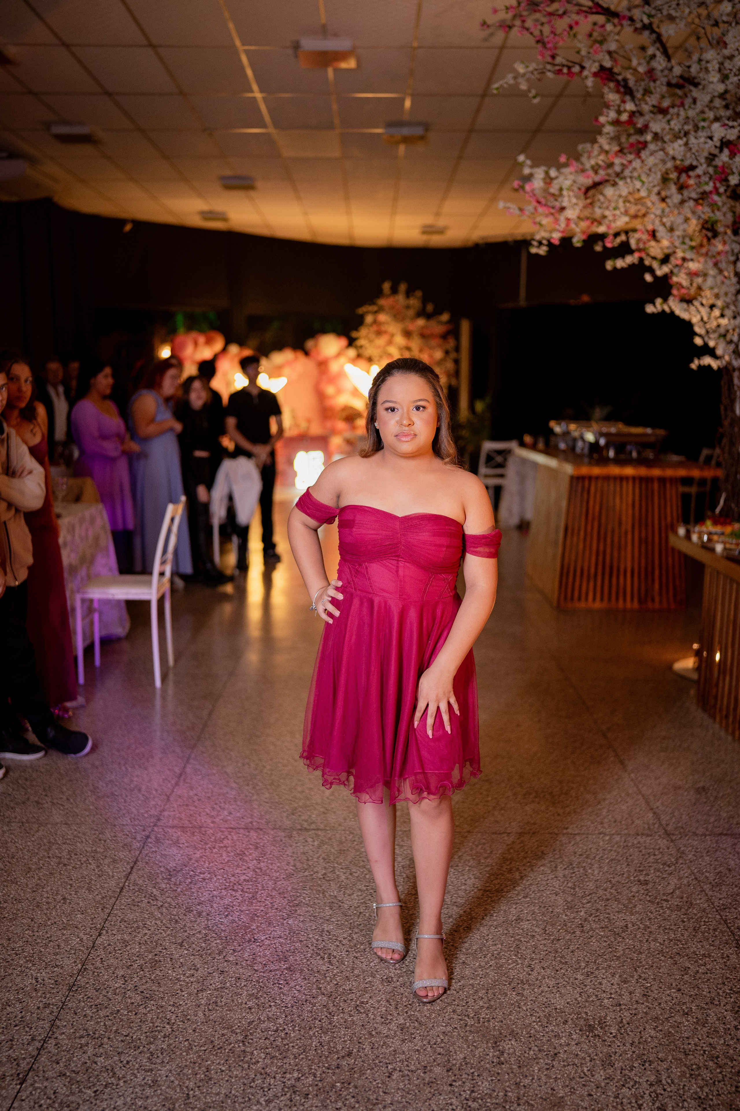 Isabela — 15 anos Buffet Talita Rodrigues / Piratininga — SP. Robson Colaço