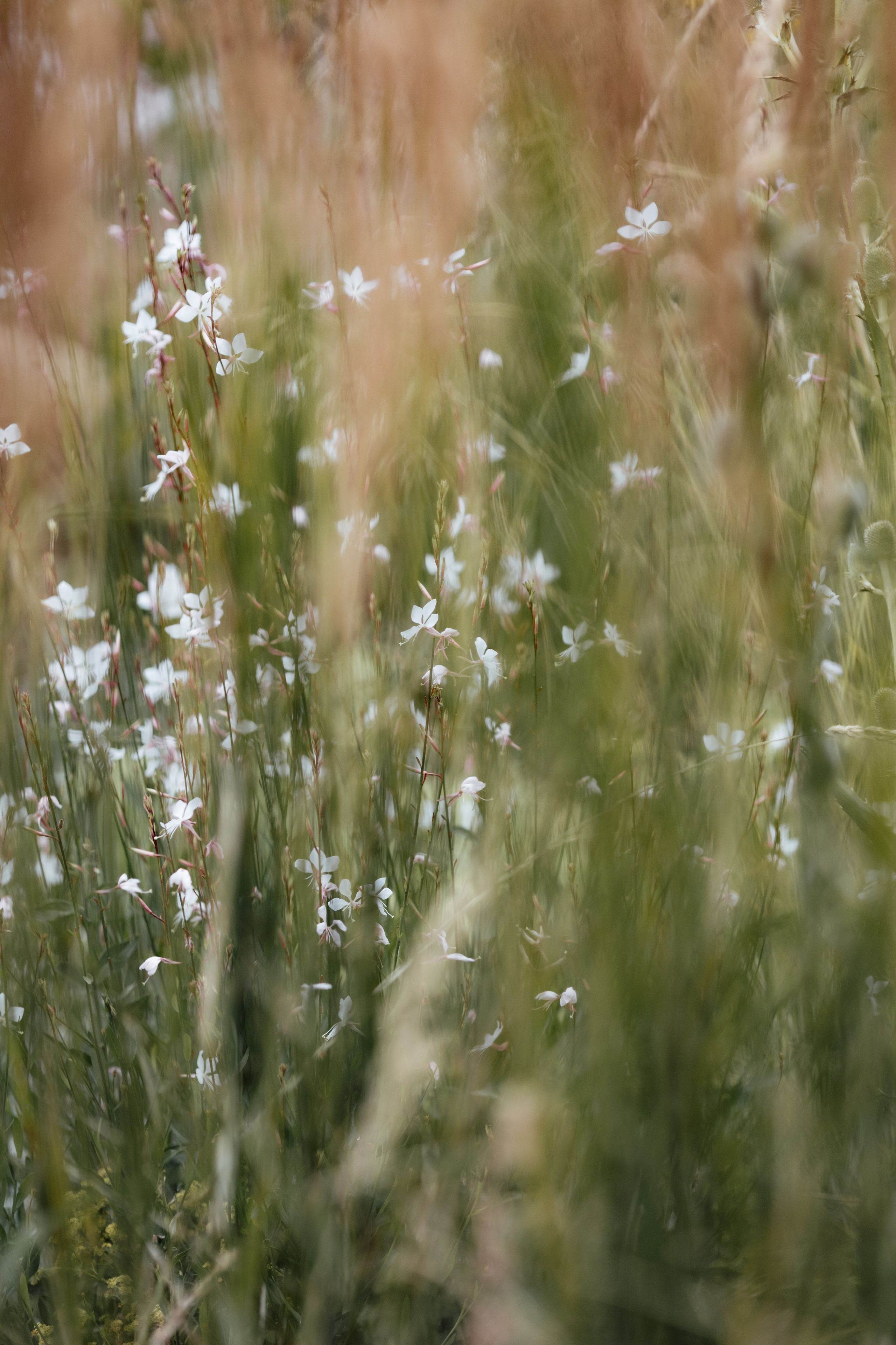 Limekiln, East Sussex, UK. 2025. Timeless Wedding & Event Photography — based London, working across Europe