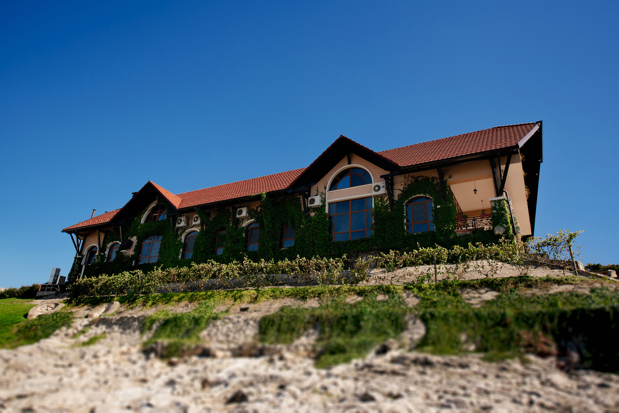 Adriana & Iulian. Fotograf de familie și evenimente