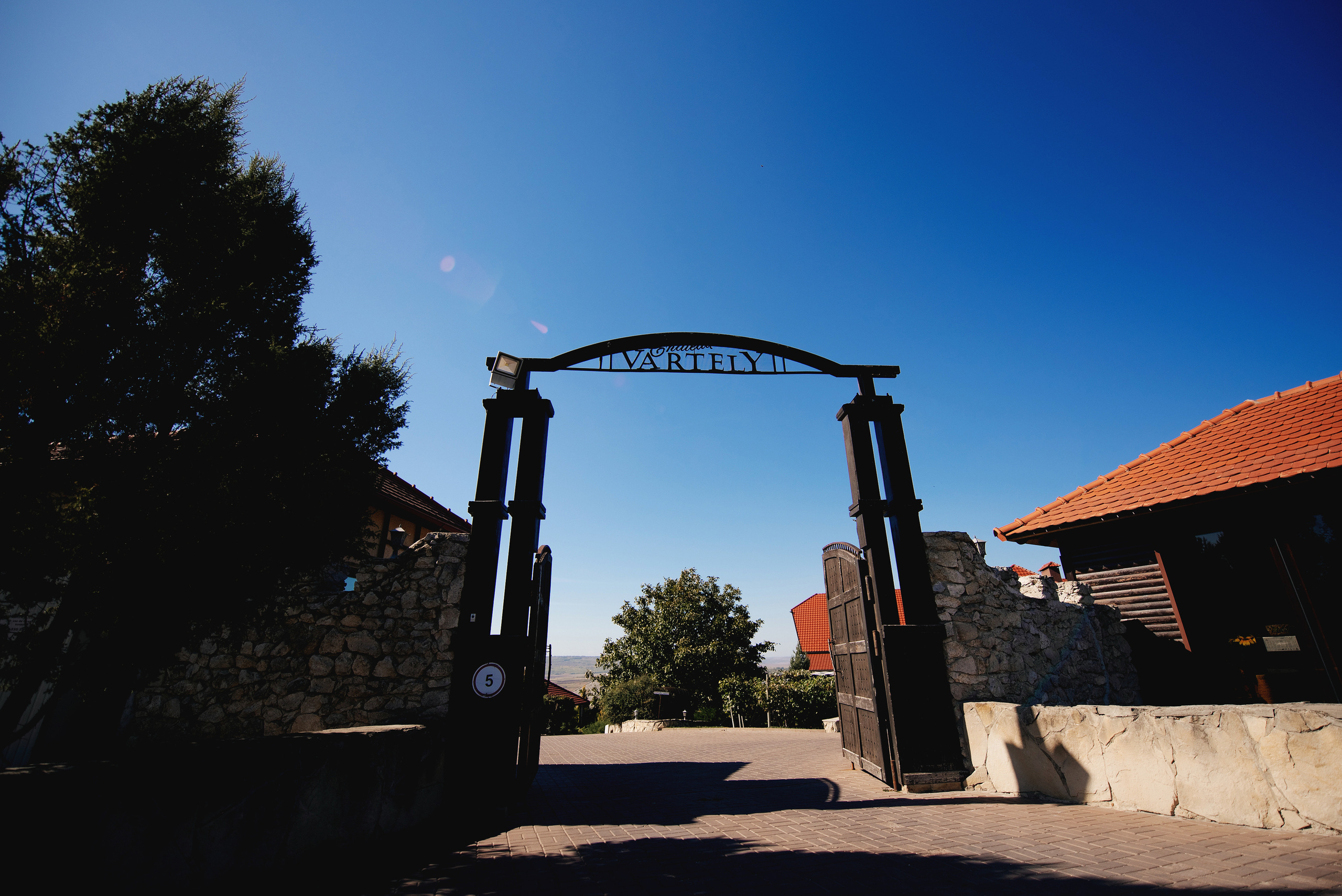 Adriana & Iulian. Fotograf de familie și evenimente