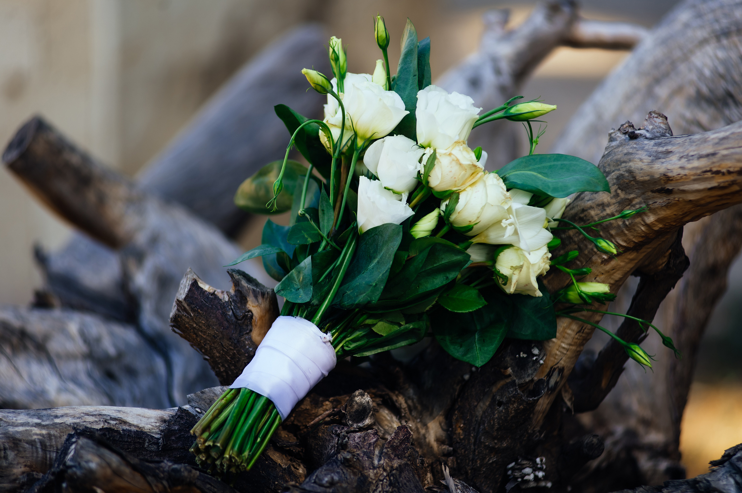 Cristina & Victor. Fotograf de familie și evenimente
