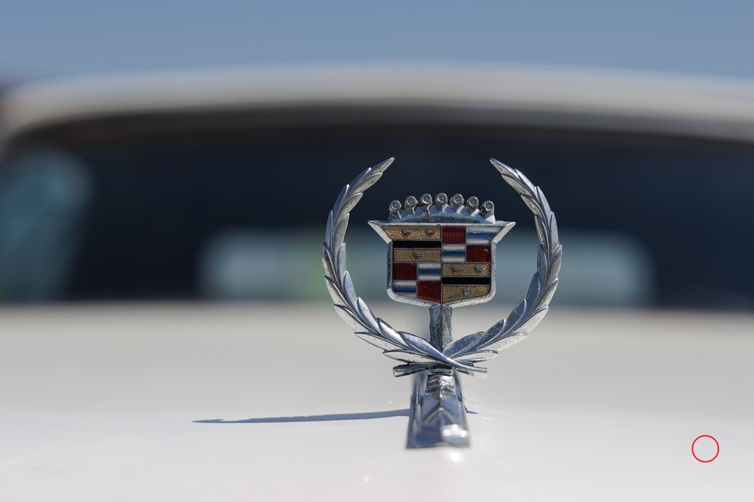 კოტეტას თასი 2025. FramefreeMan