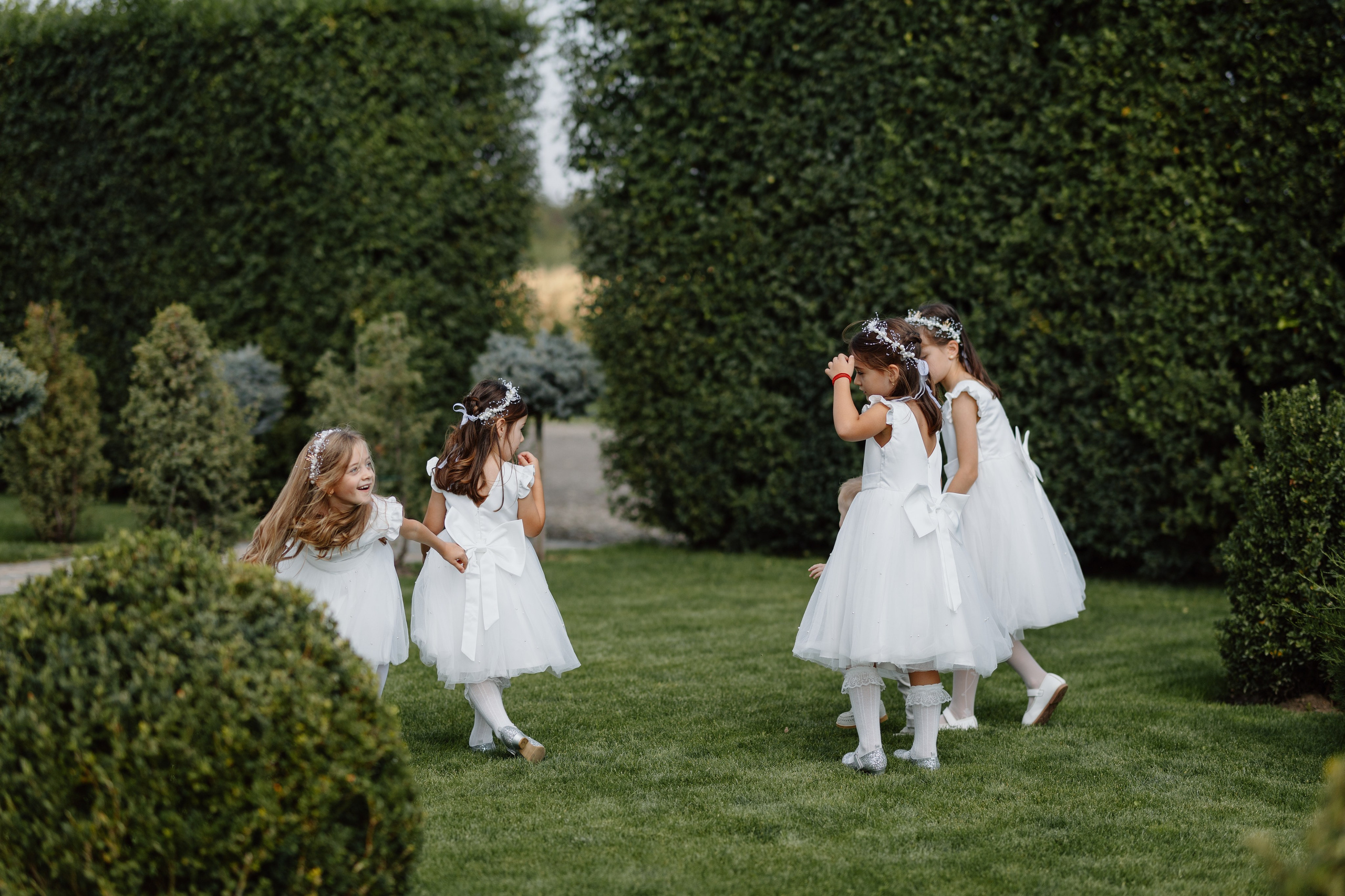 Iustin & Fabiana. Main