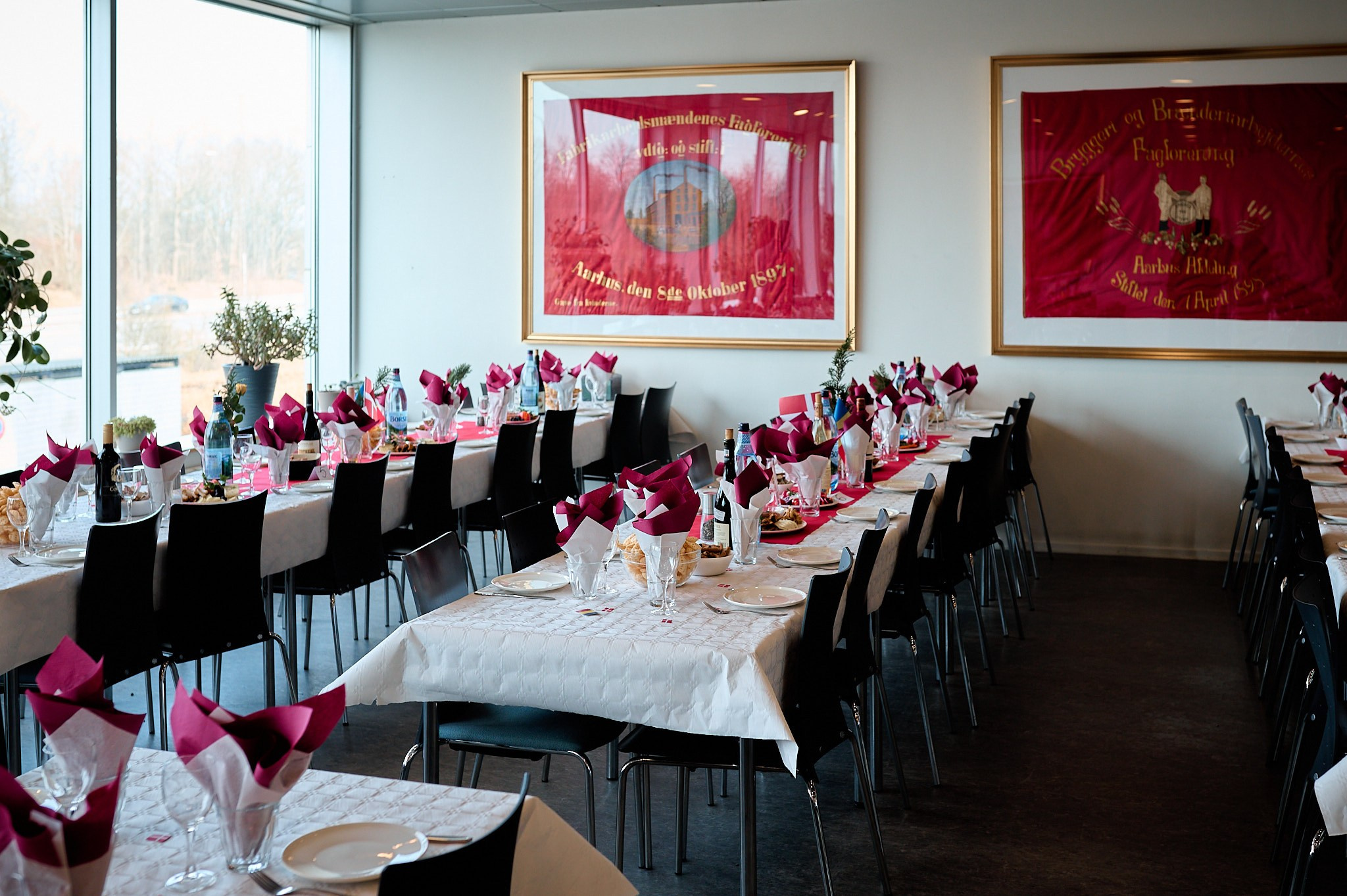 Ziua Femeii — 8 Martie 2025 — Aarhus. DanFotograf.dk