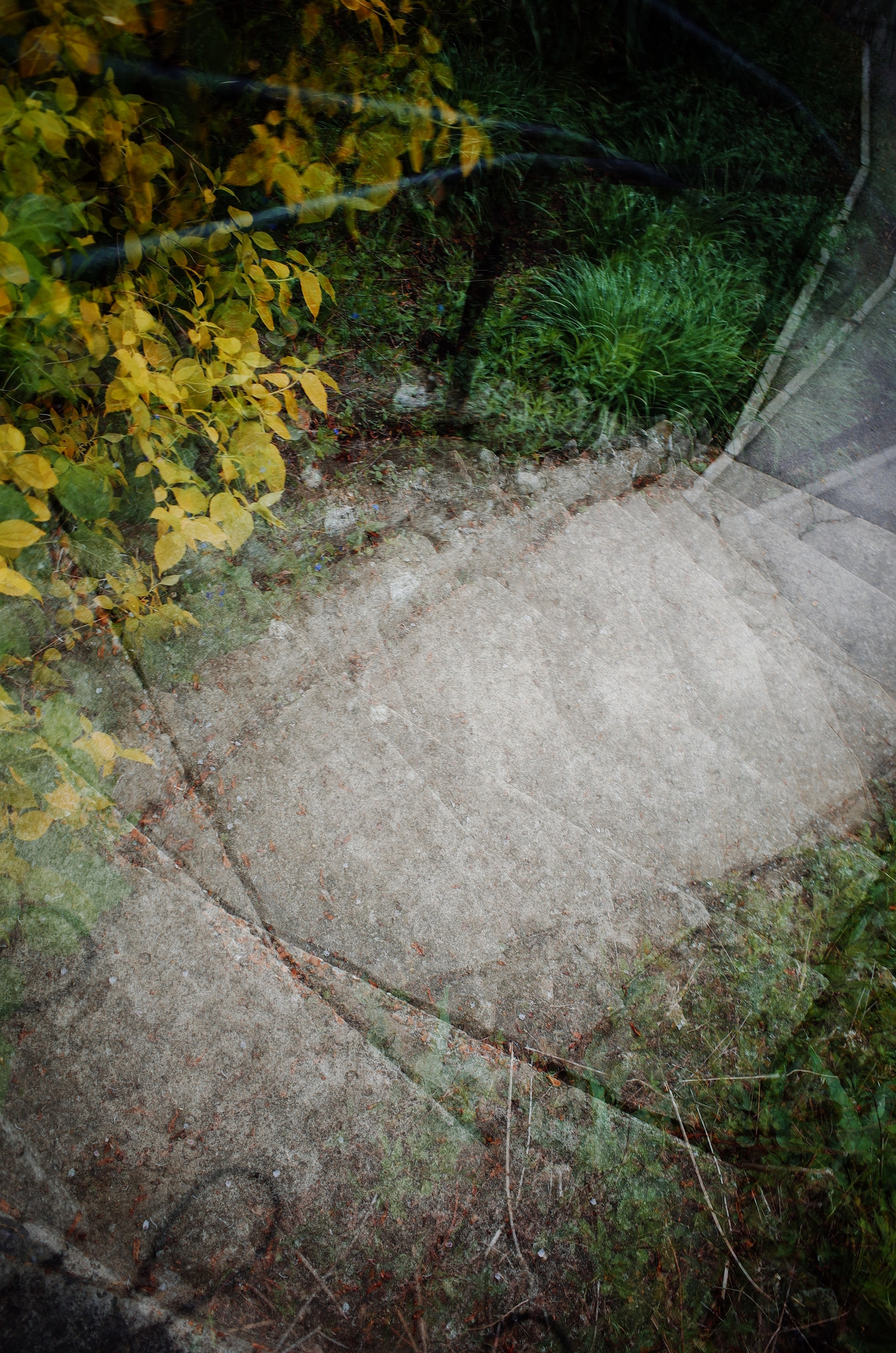 Kingsnorth in Gold. Victoria Dini. Art photography in London / Folkestone, UK