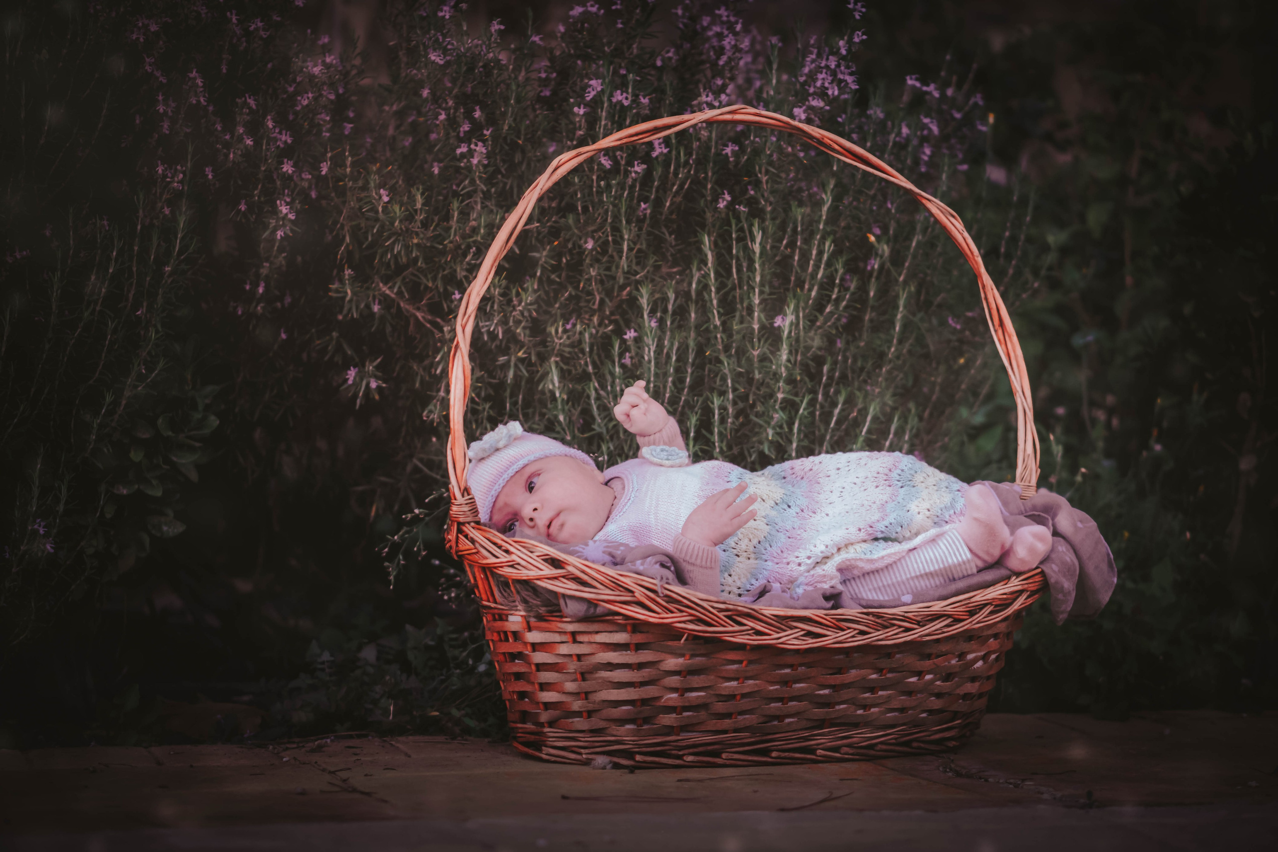 Olivia. Alba del Norte Studio