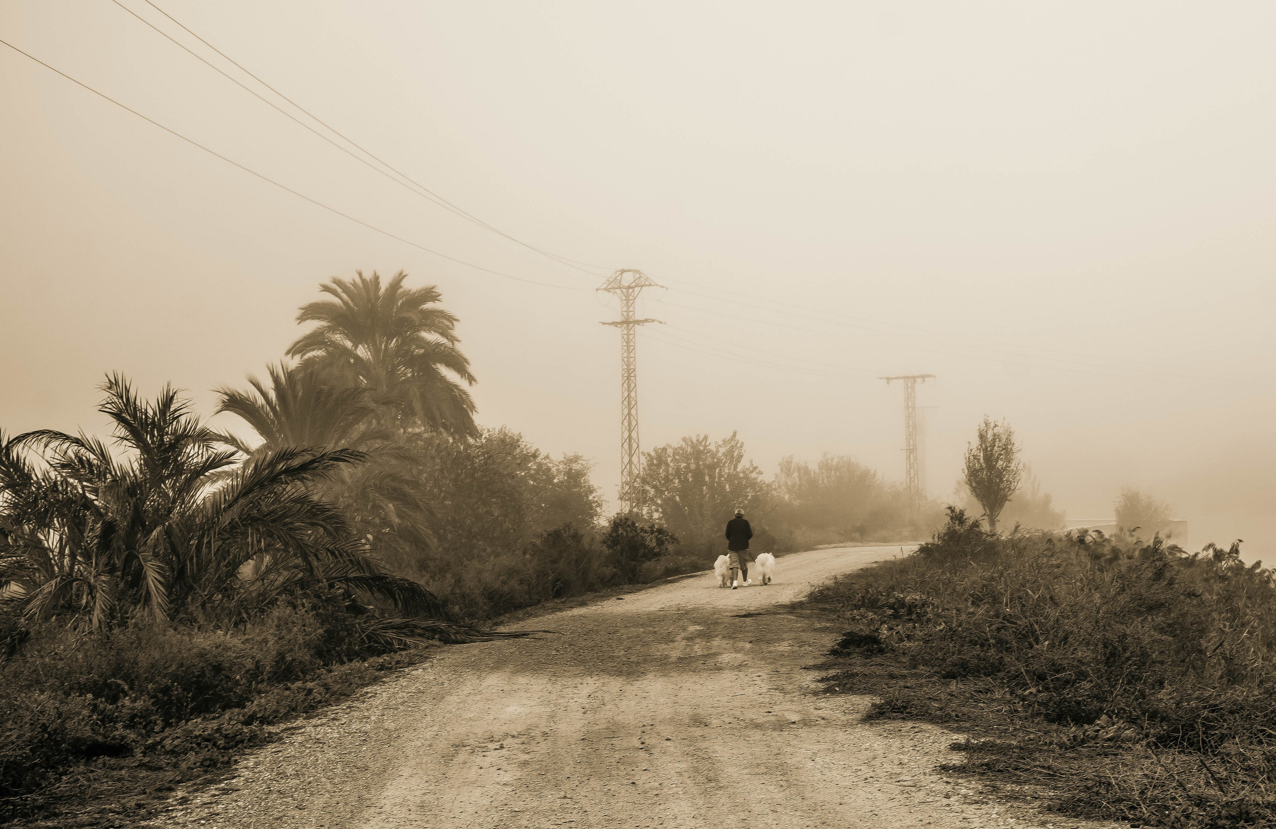 Rojales. Alba del Norte Studio