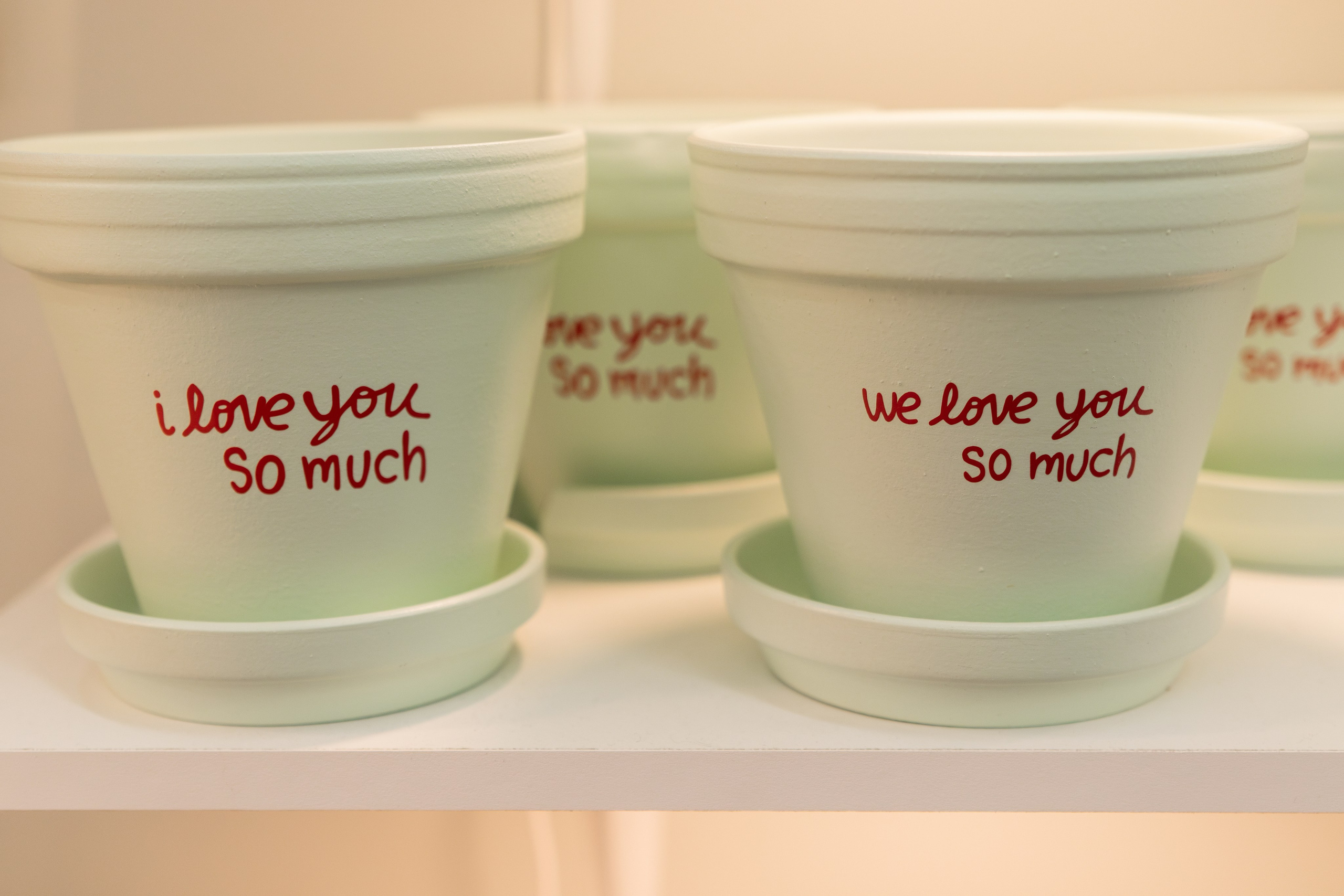 Painted Tree Boutiques Round Rock winter retail photoshoot collection