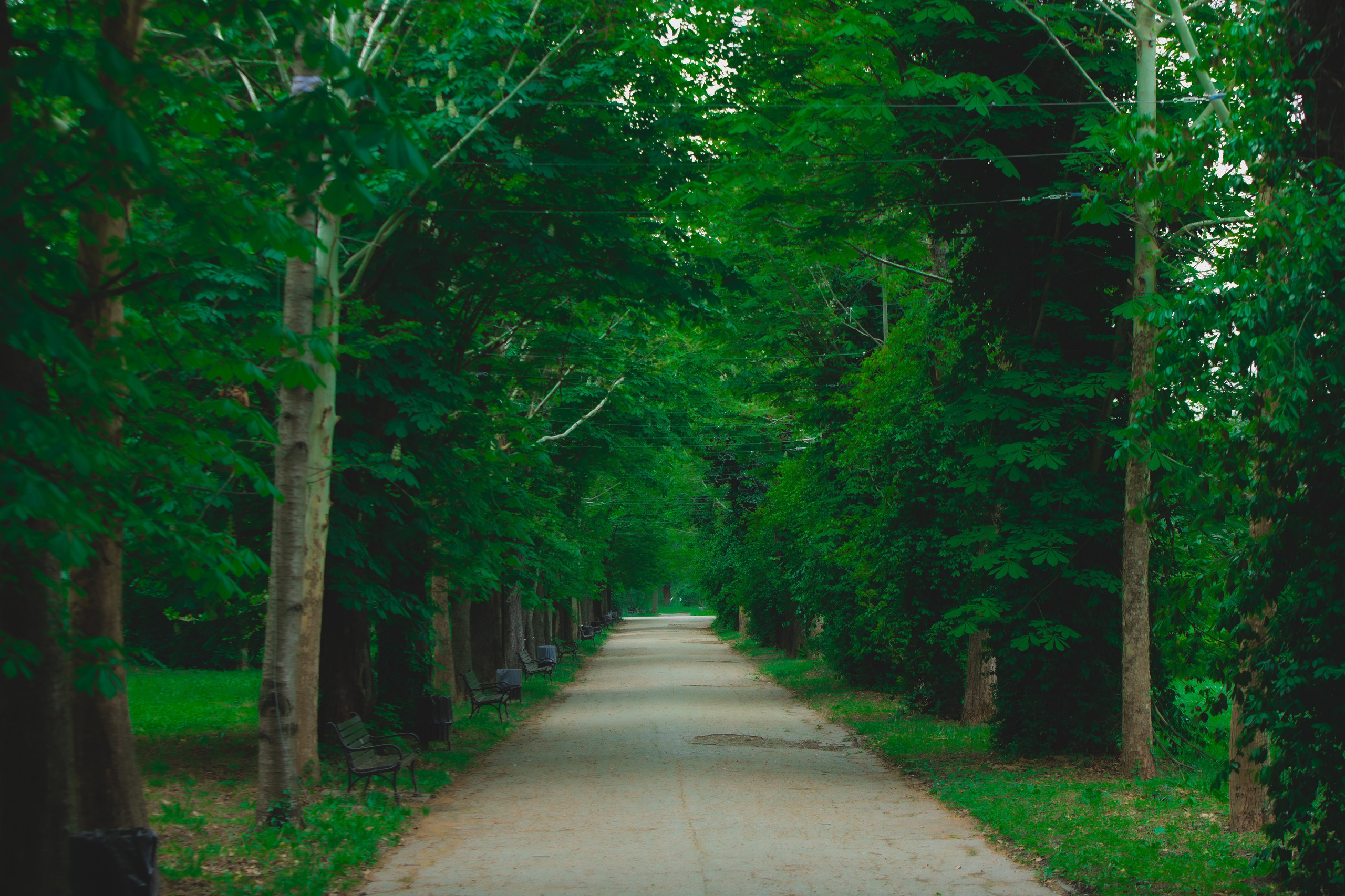 Decor botez tematic pastel – fotografie profesională