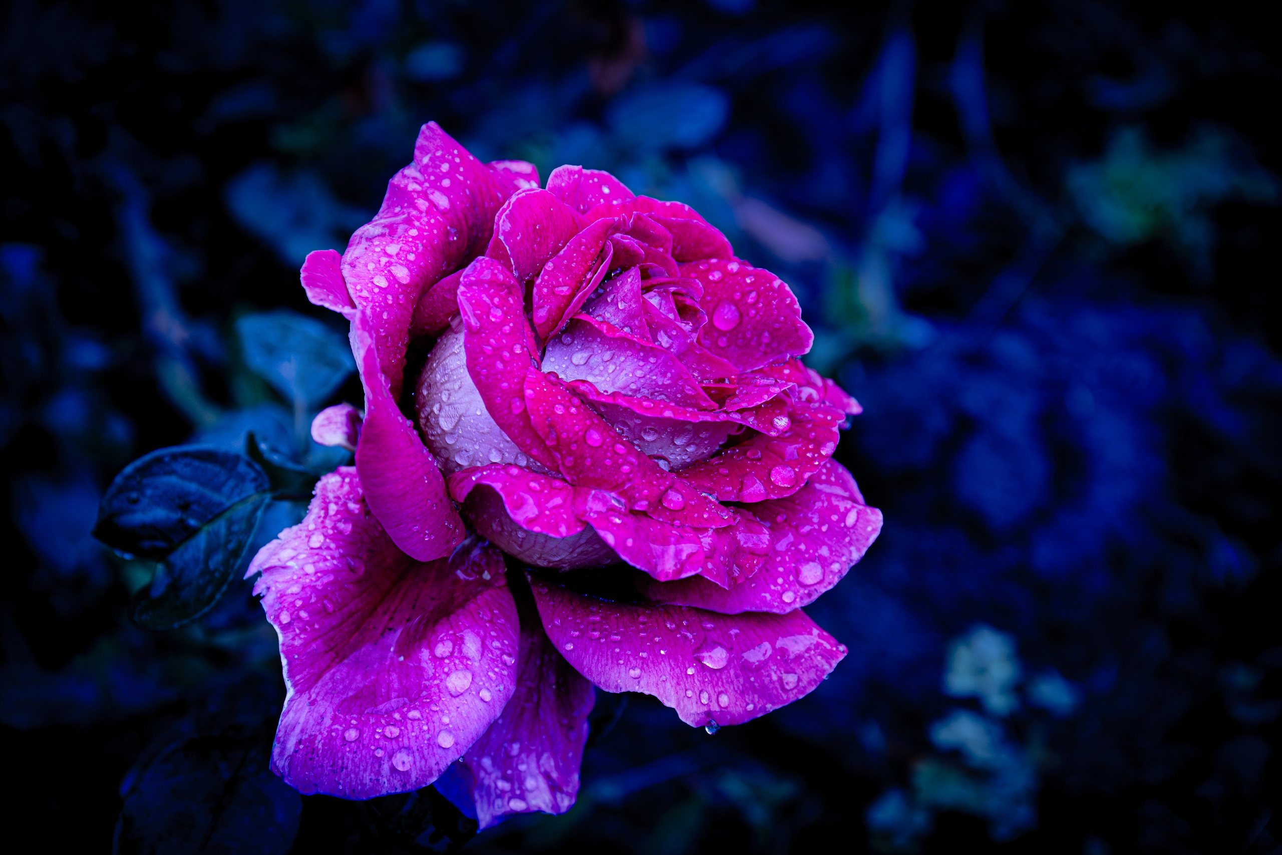 Portret bebeluș la botez realizat de Mitroi Iulian