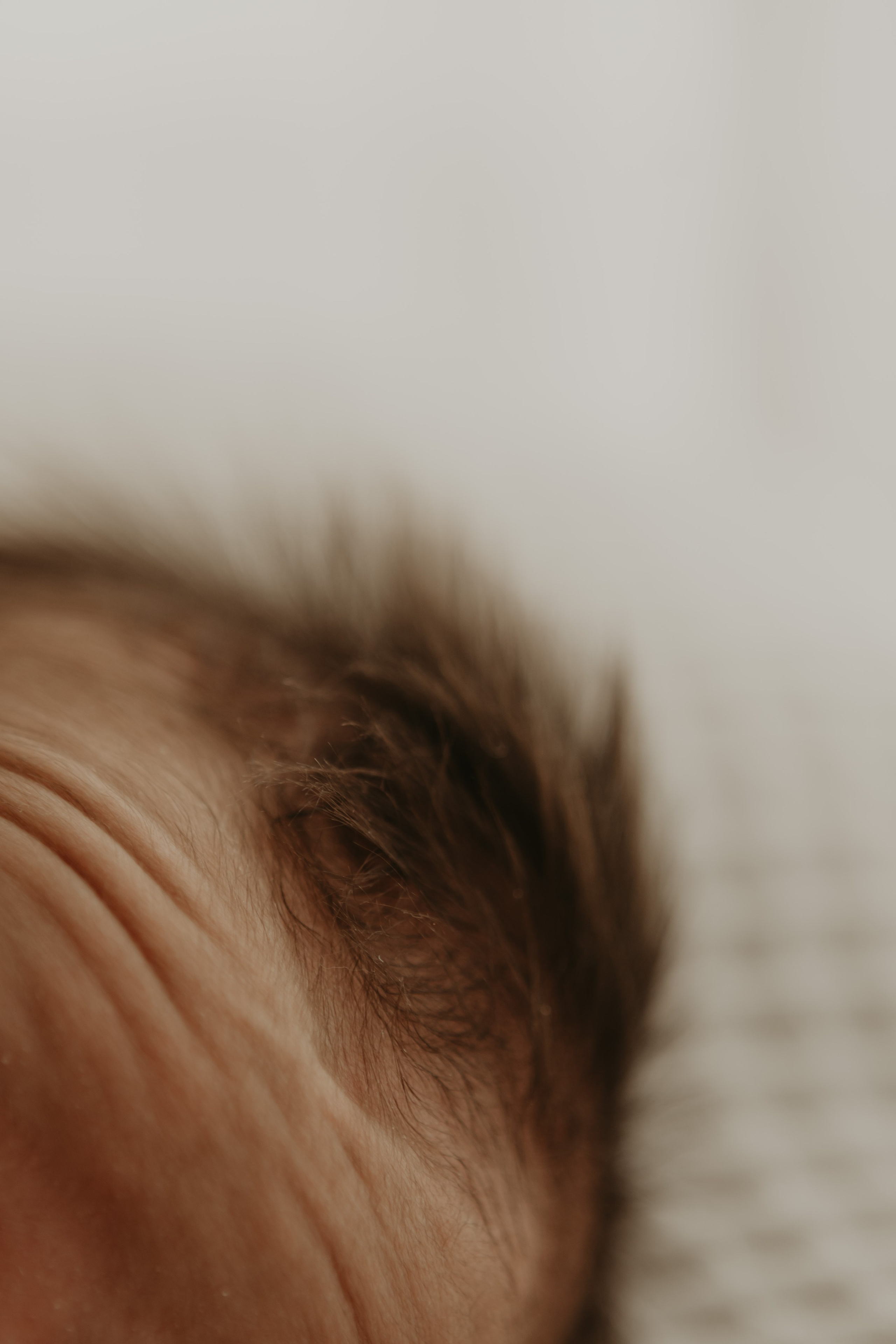 detalhe do rosto do recém-nascido em ensaio em estúdio em Sorocaba