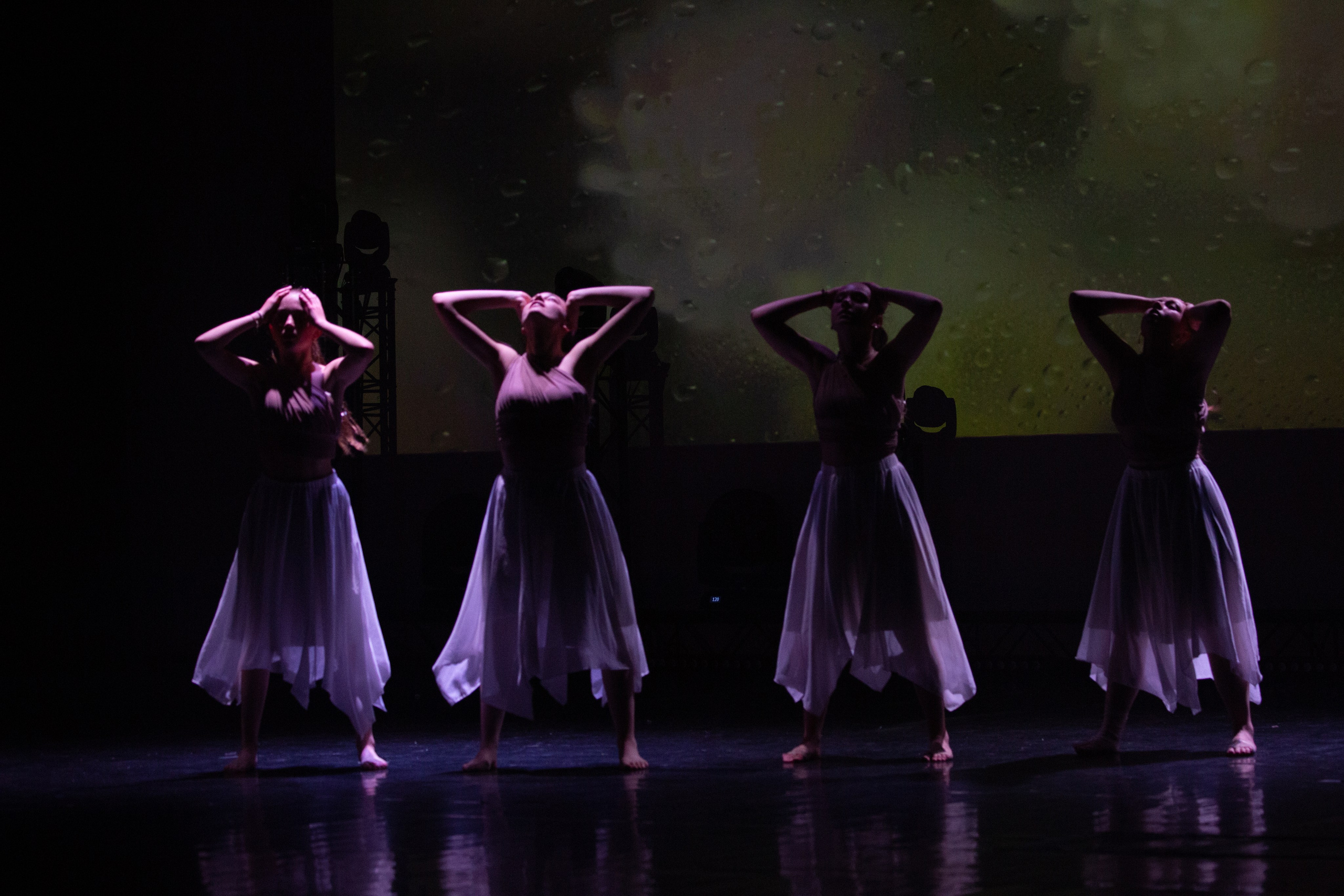 Art Events. Family, portrait, and lifestyle photoshoots in Belgium