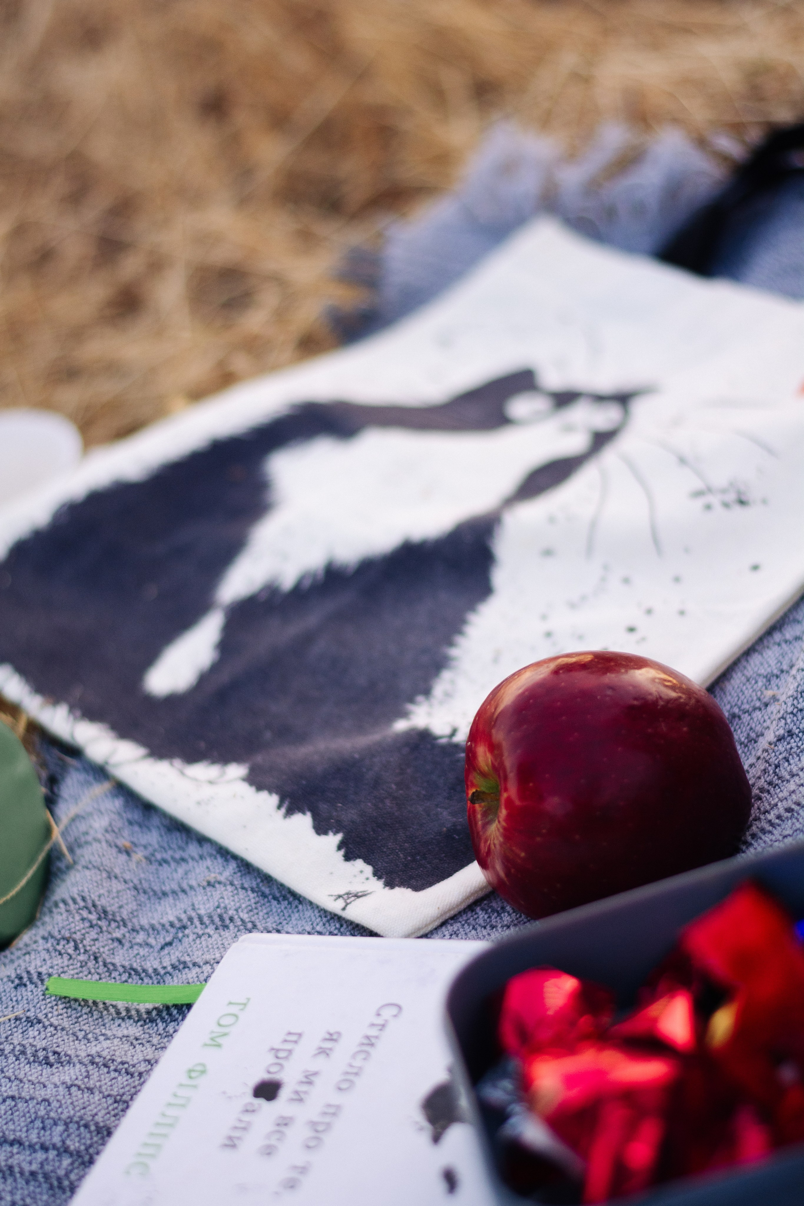 Anna. Shpanarskiy Nazar