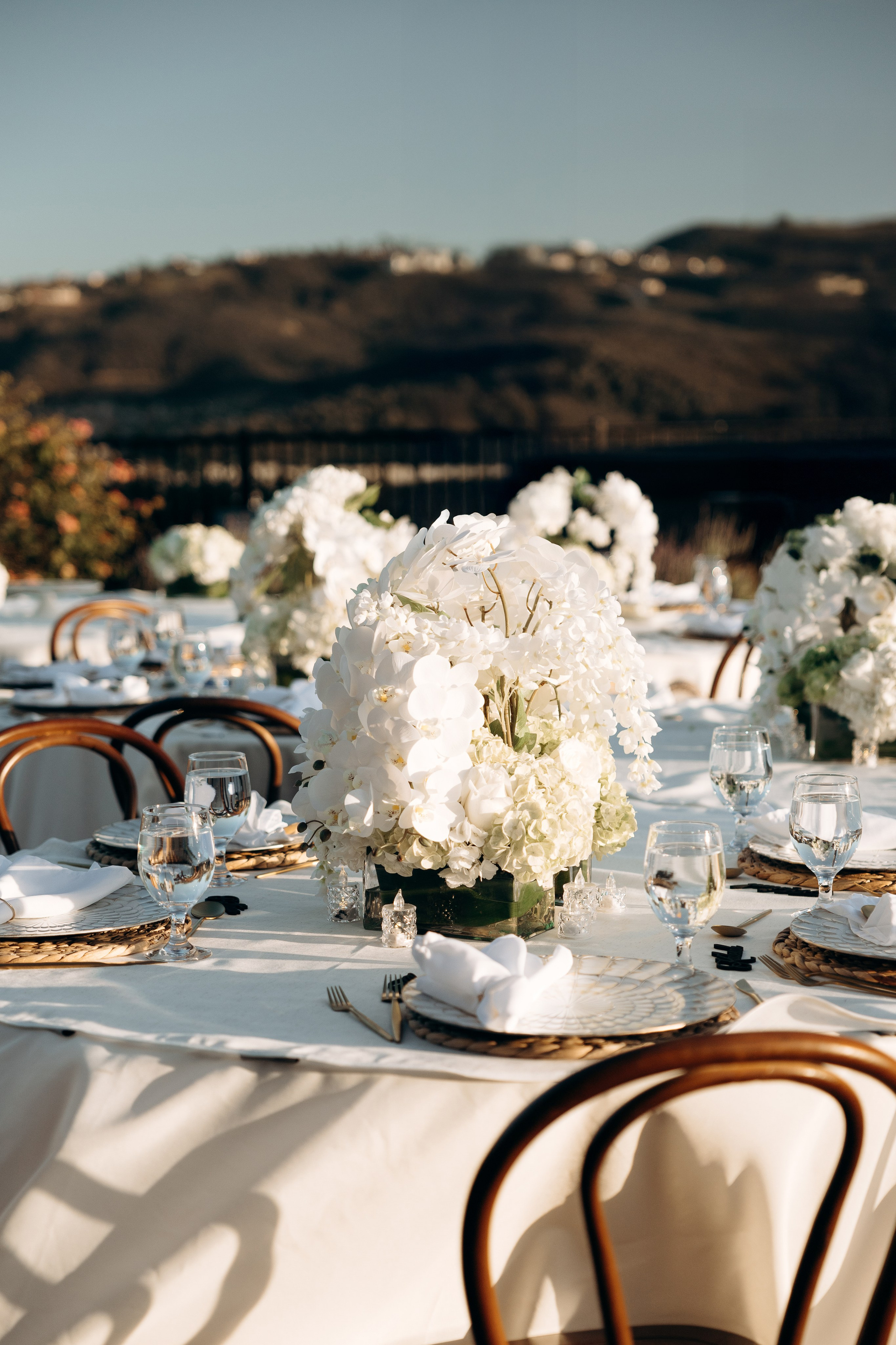 Drew and Haley. Wedding and family photographer San Diego