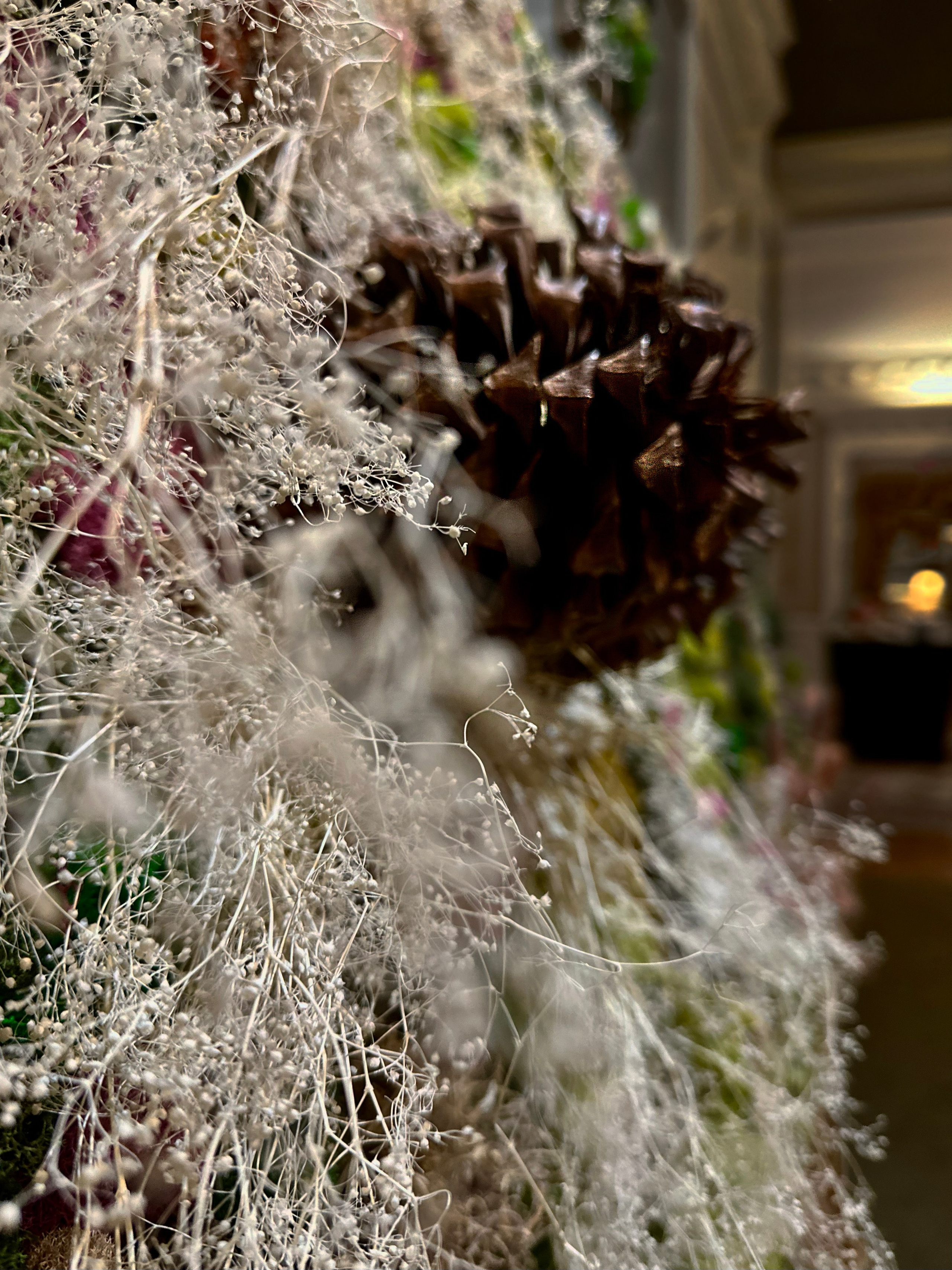 Anna & Moss magic, Content. Yana Bobrova | Artistic Photography