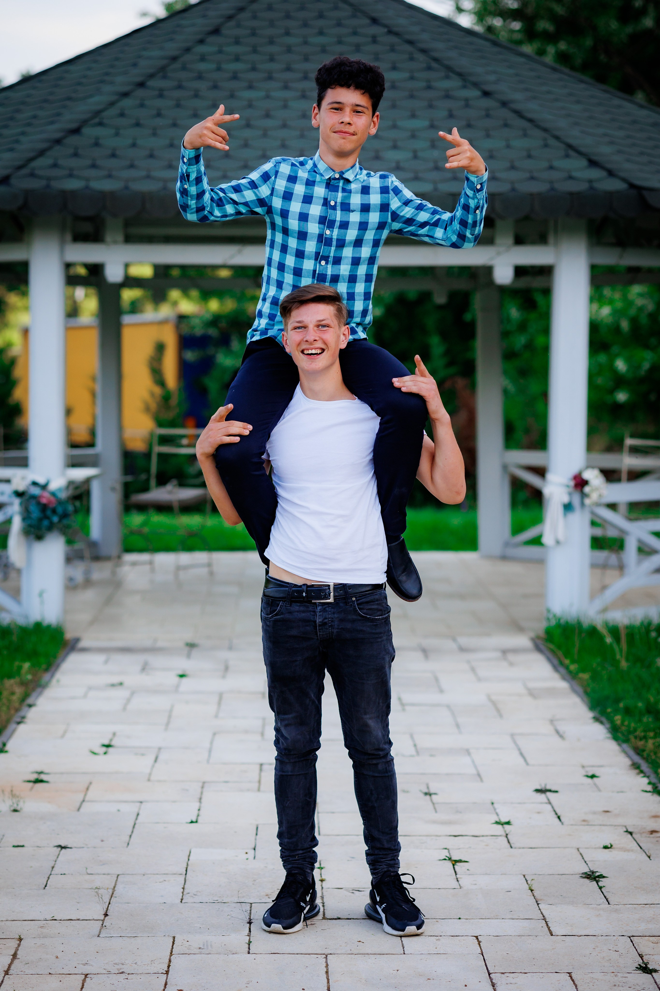 Distracție Gratuit. Trendy Albums