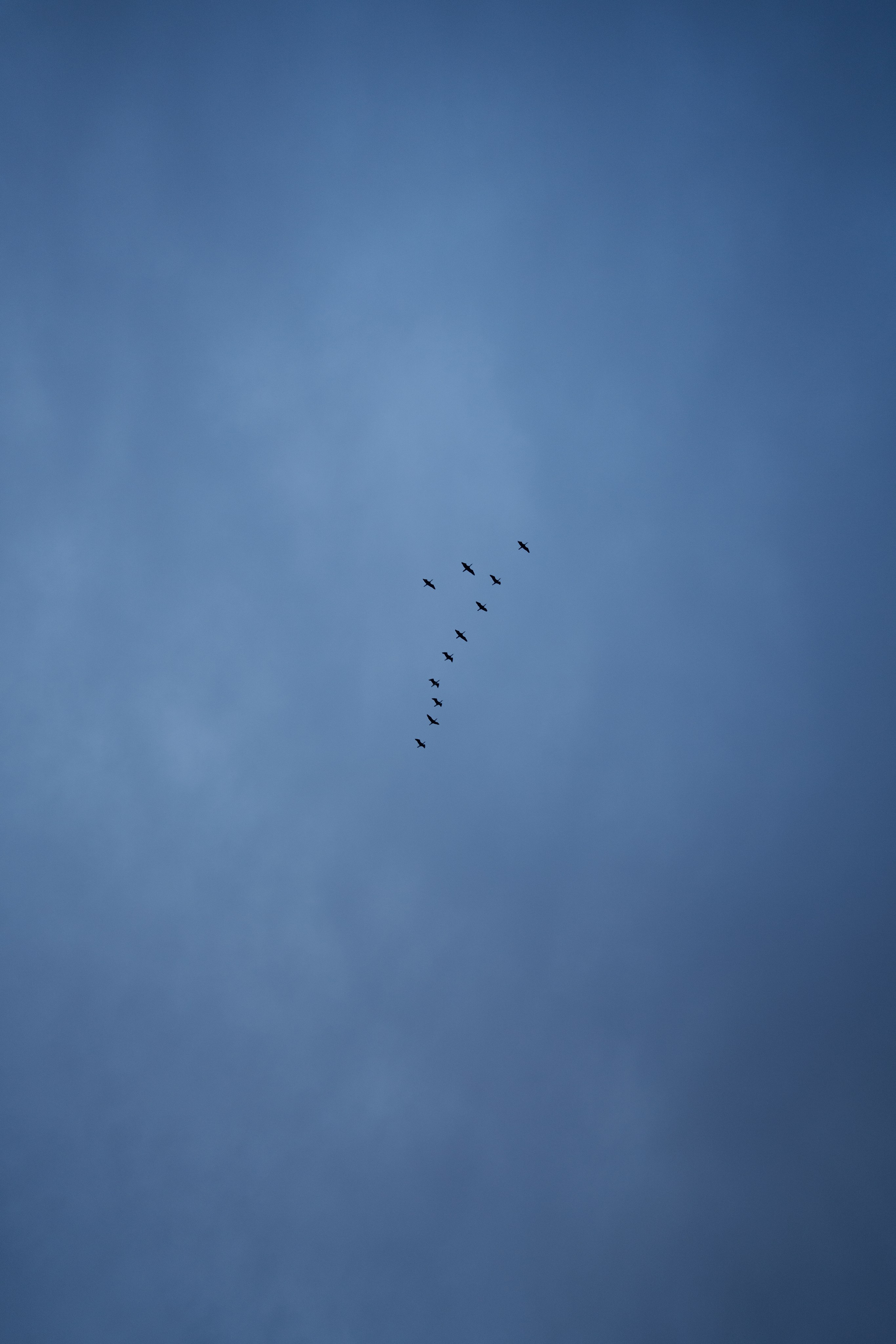 Batumi evening. Ekaterina Verbitskaya. Photography