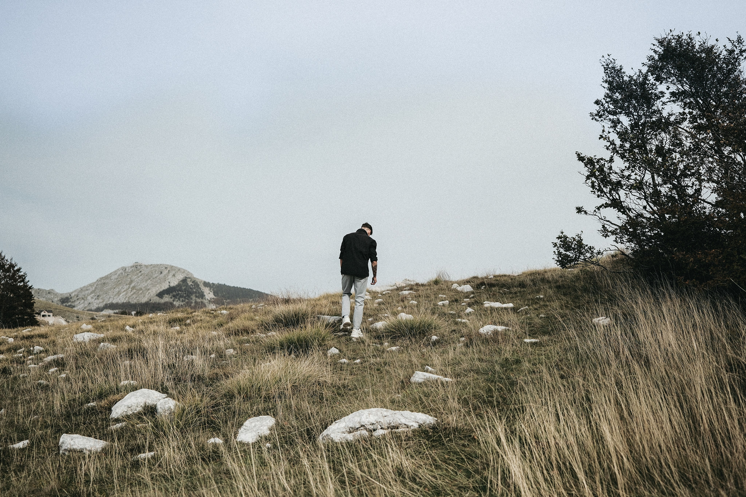 Nikita lost in the forest. Creative photographer in Madrid Anna Dvorianskaia