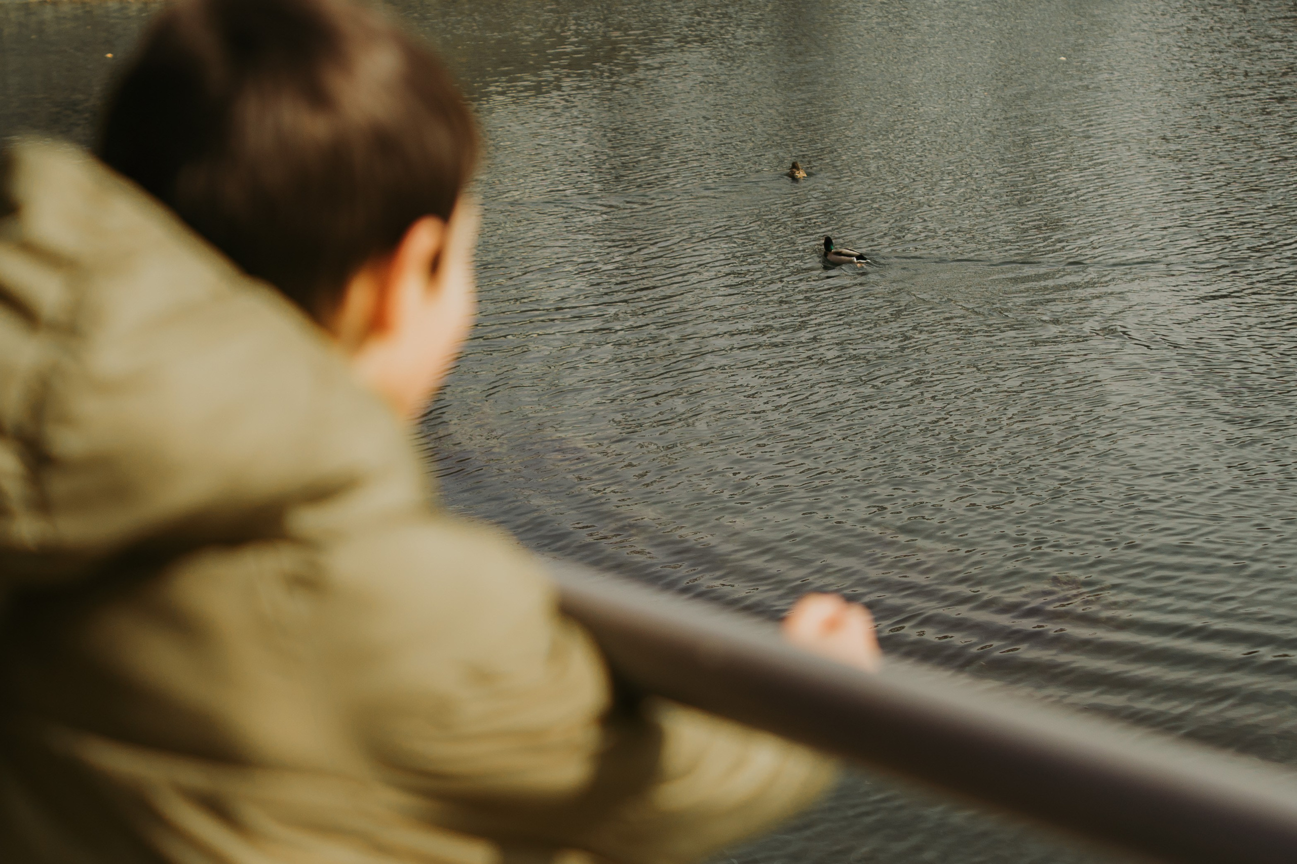 Family Time. Foto-Video Nunta Iasi, Suceava, Bucuresti / Disponibilitate 2025 — 2026 — 2027