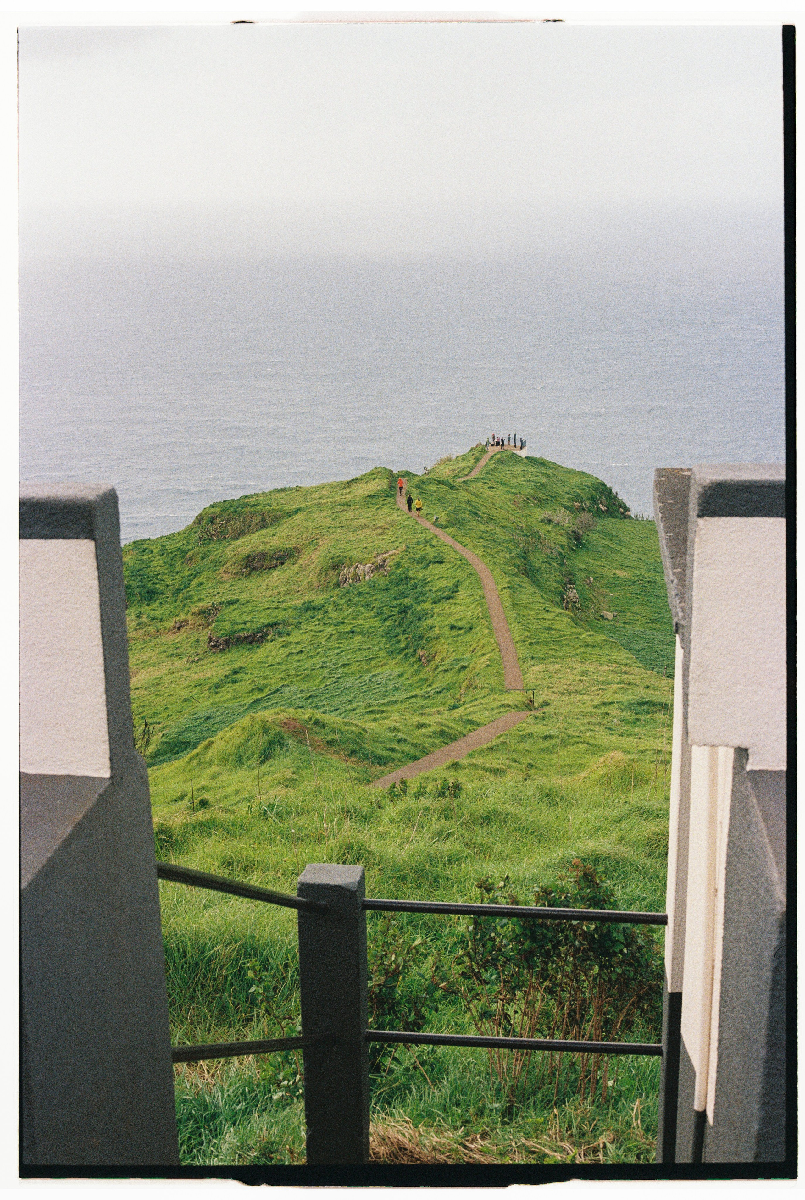 Madeira on film. Portrait photographer in Madeira — Marina Shtukina