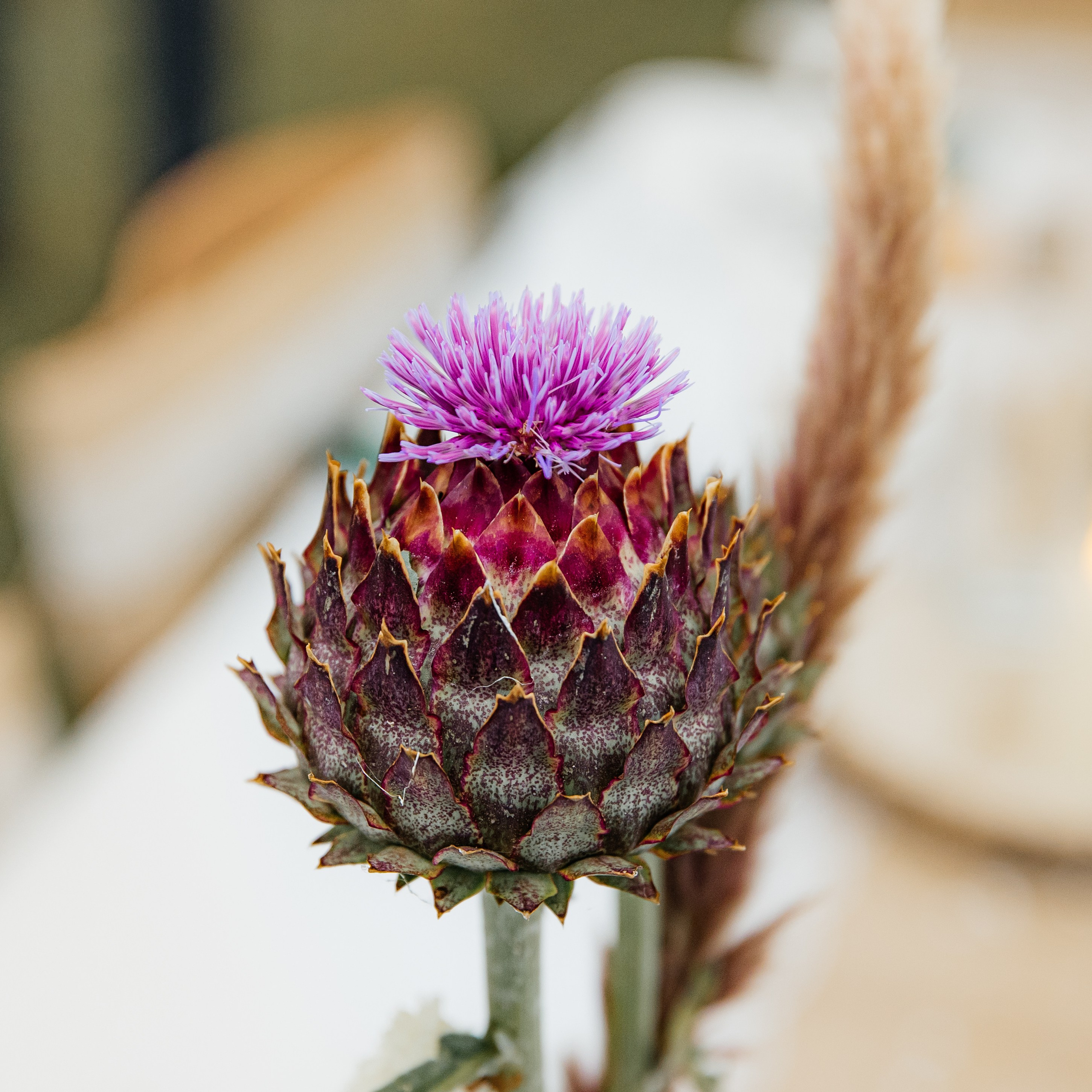 Rugile & Jack -Barton mills. August, 2023. Timeless Wedding & Event Photography — based London, working across Europe