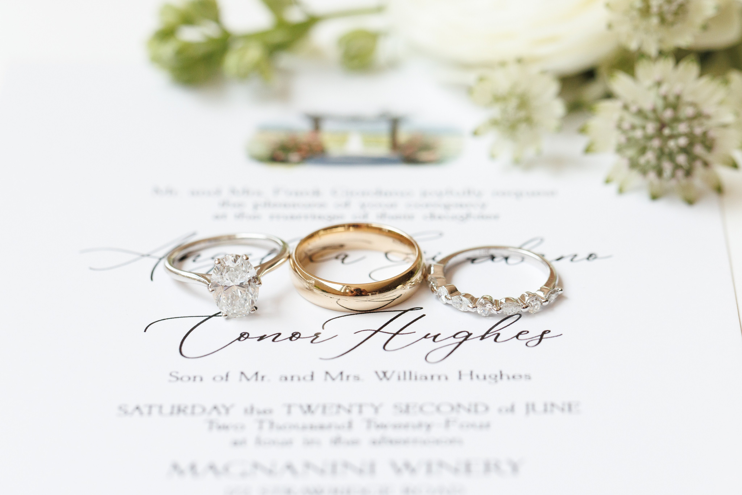 Angelica & Conor. Wedding Photo & Video