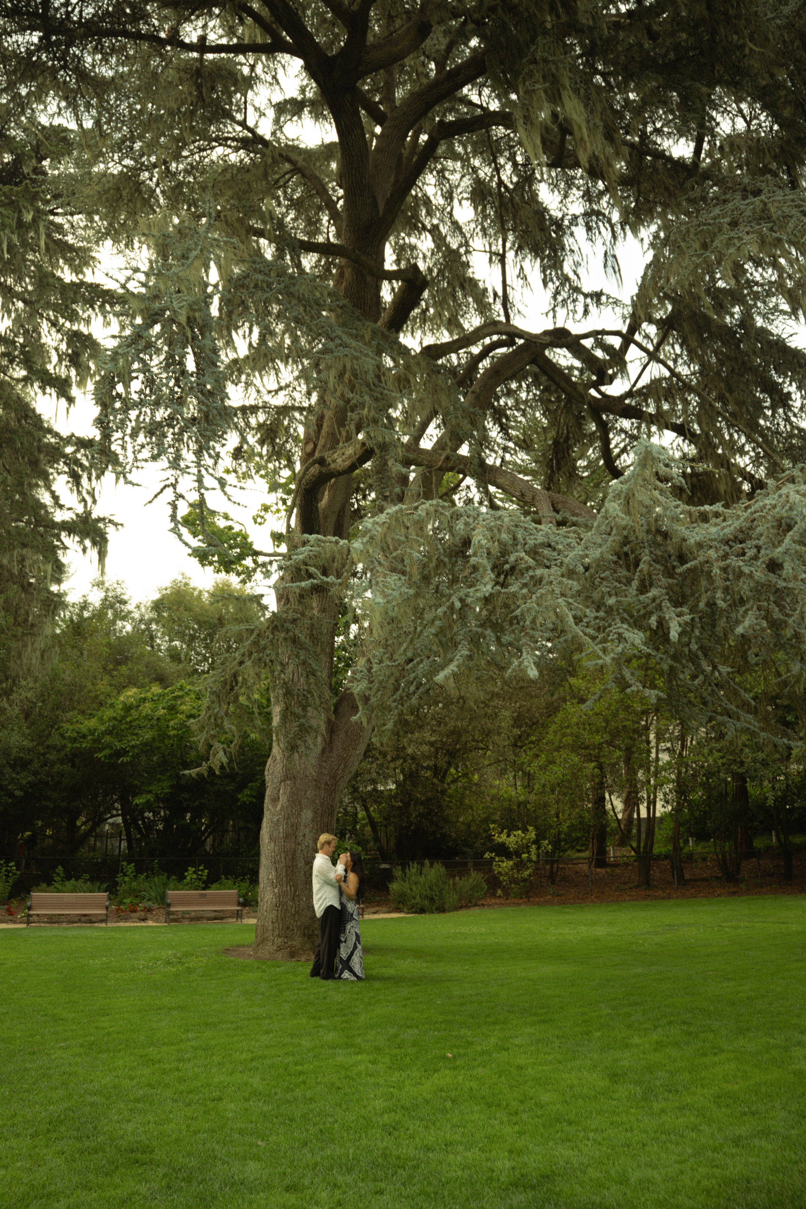 Proposal | San Francisco. San Francisco Wedding & Elopement Photographeк | photography_of.nadia