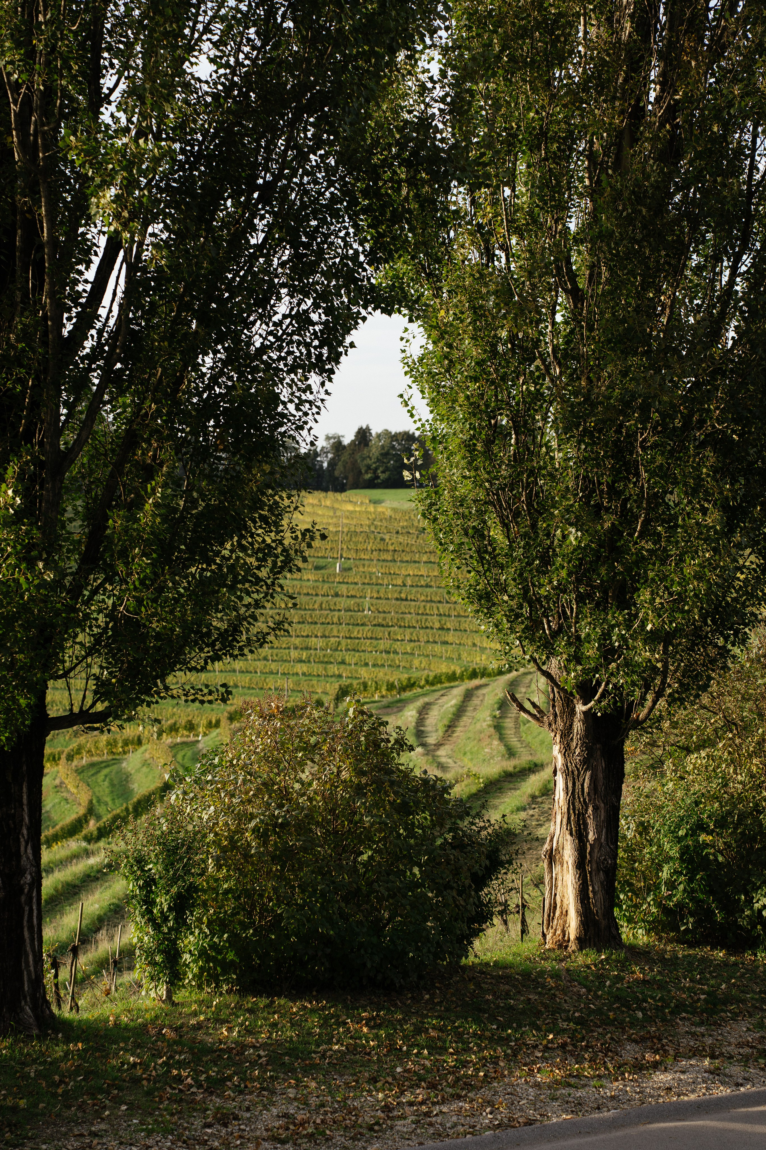A dreamy scenery. Patricia Morenci — Mountain Adventures for the Wild at Heart