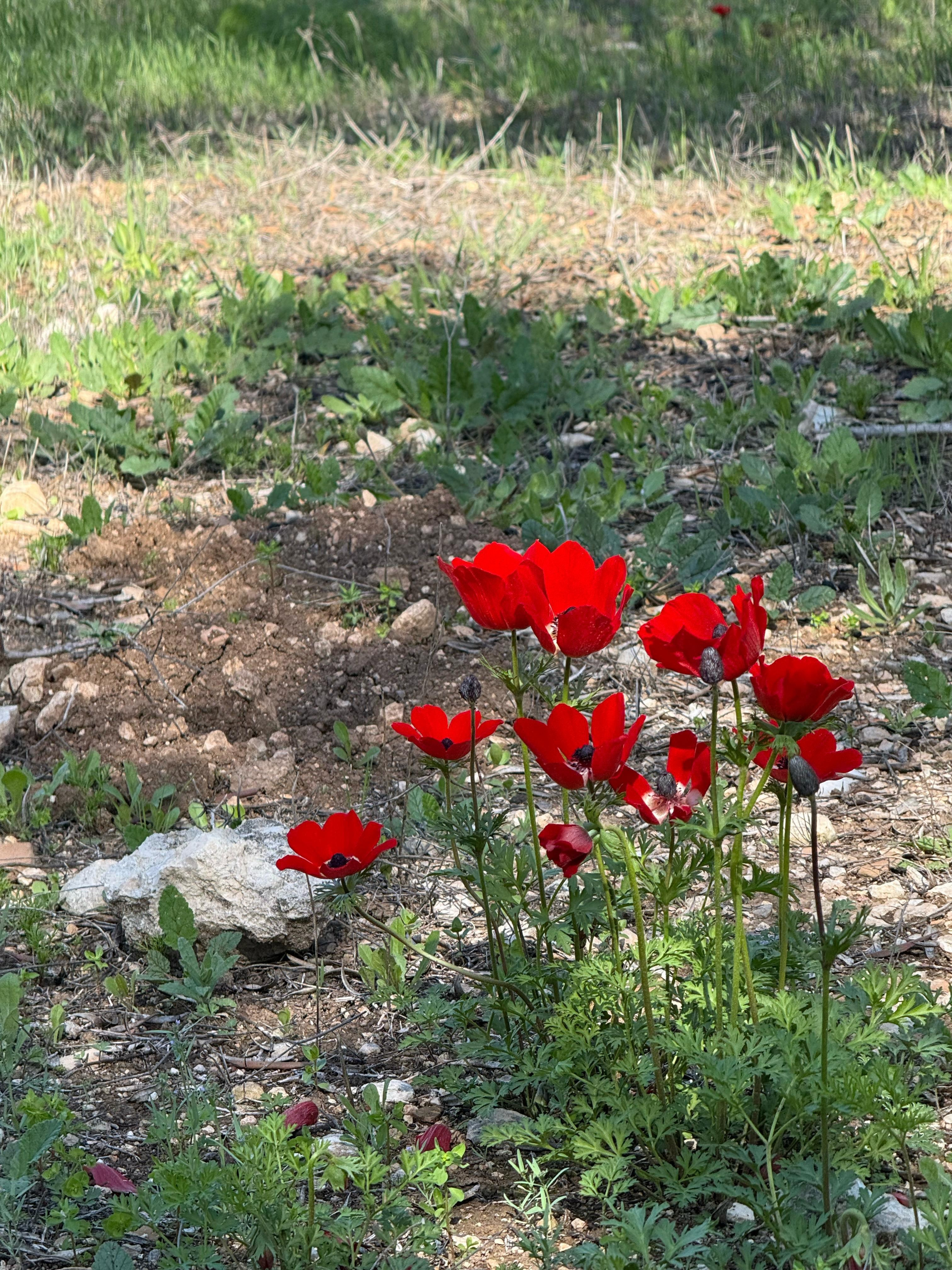Женский поход с детьми — Клуб «Нортман» | реконструкция. КРиС «Нортман»