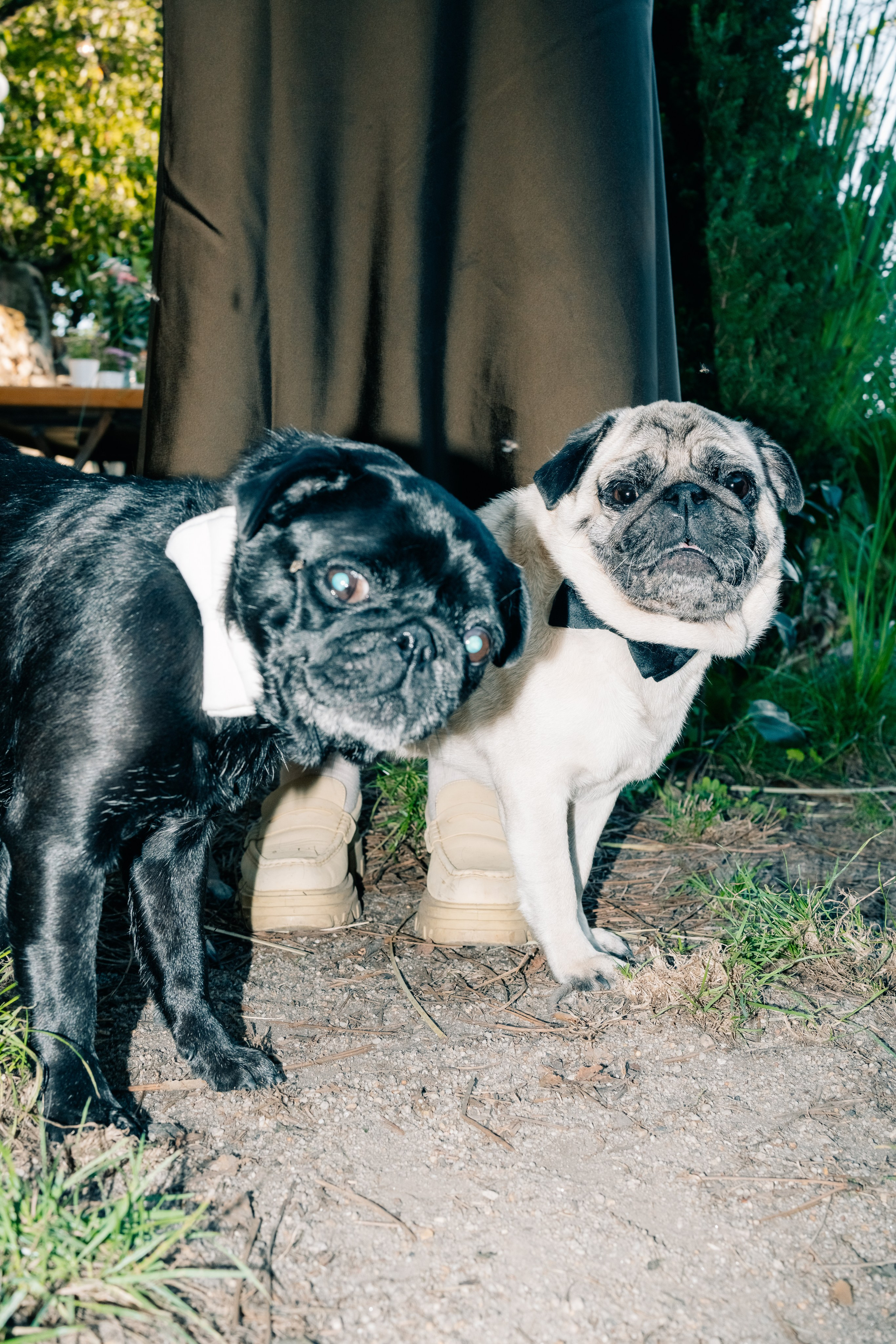 Events. Maria Sher. Professional photographer from Porto, Portugal