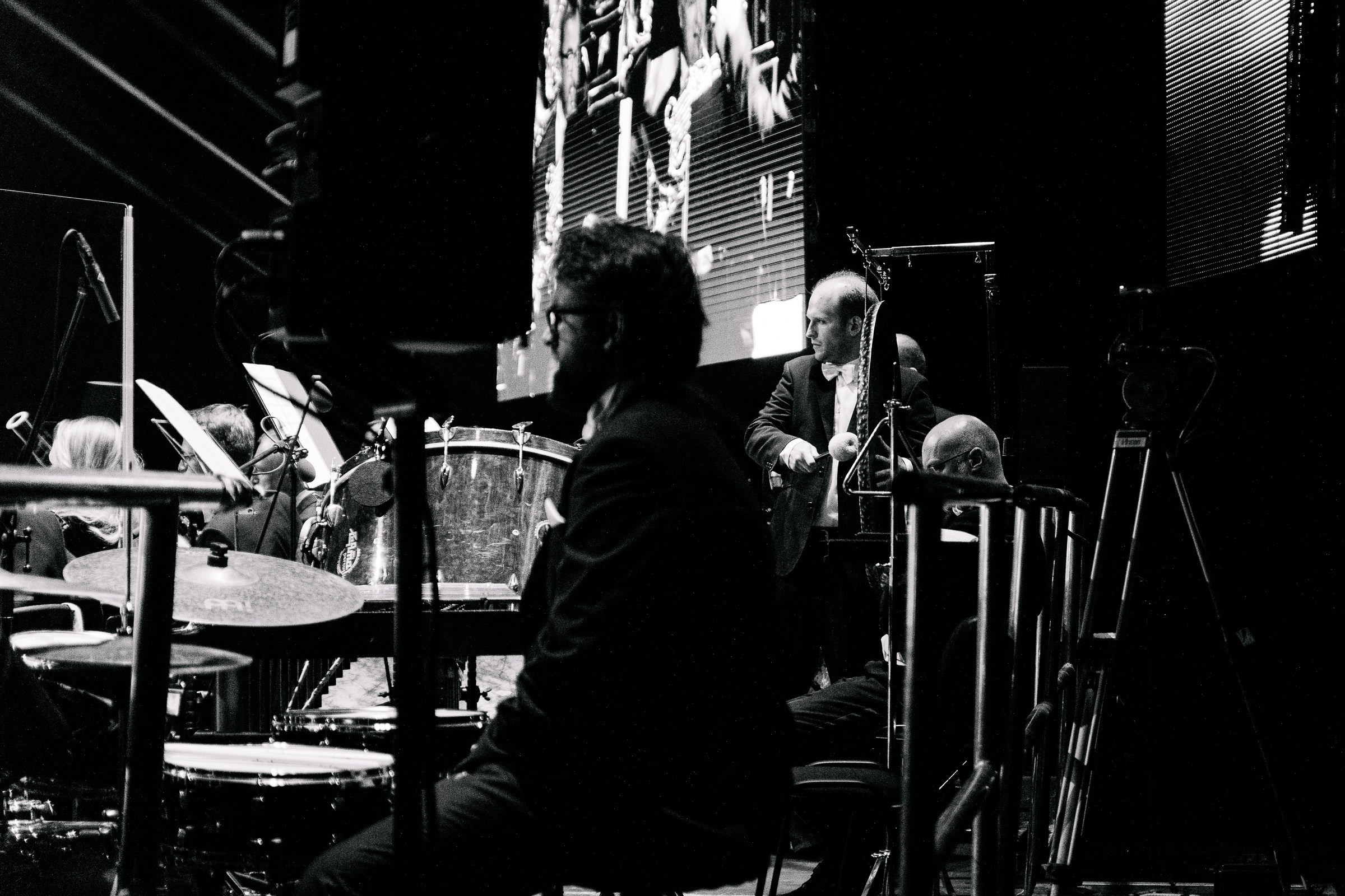 Opera Leśna Koncert. Fotograf Ślubny Warszawa - Sesje Biznesowe Rodzinne Eventy