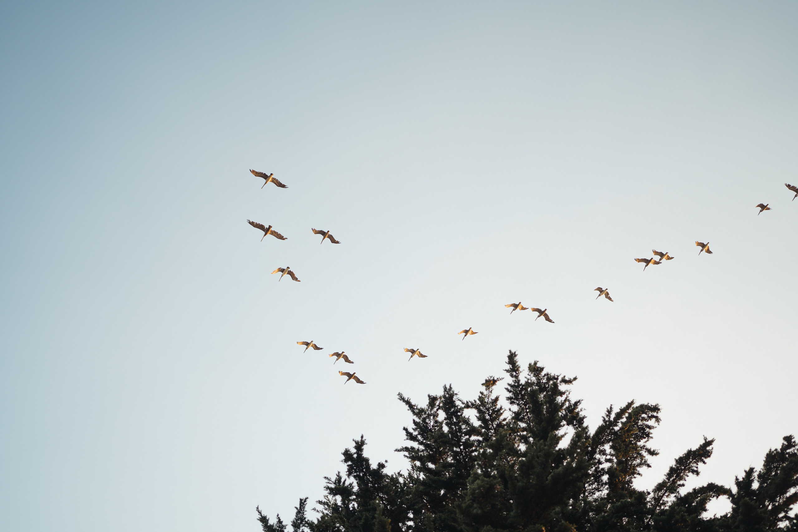 Niloo Maternity Session at Baker Beach. Soulo Photography | San Francisco Bay Area Based Photographer