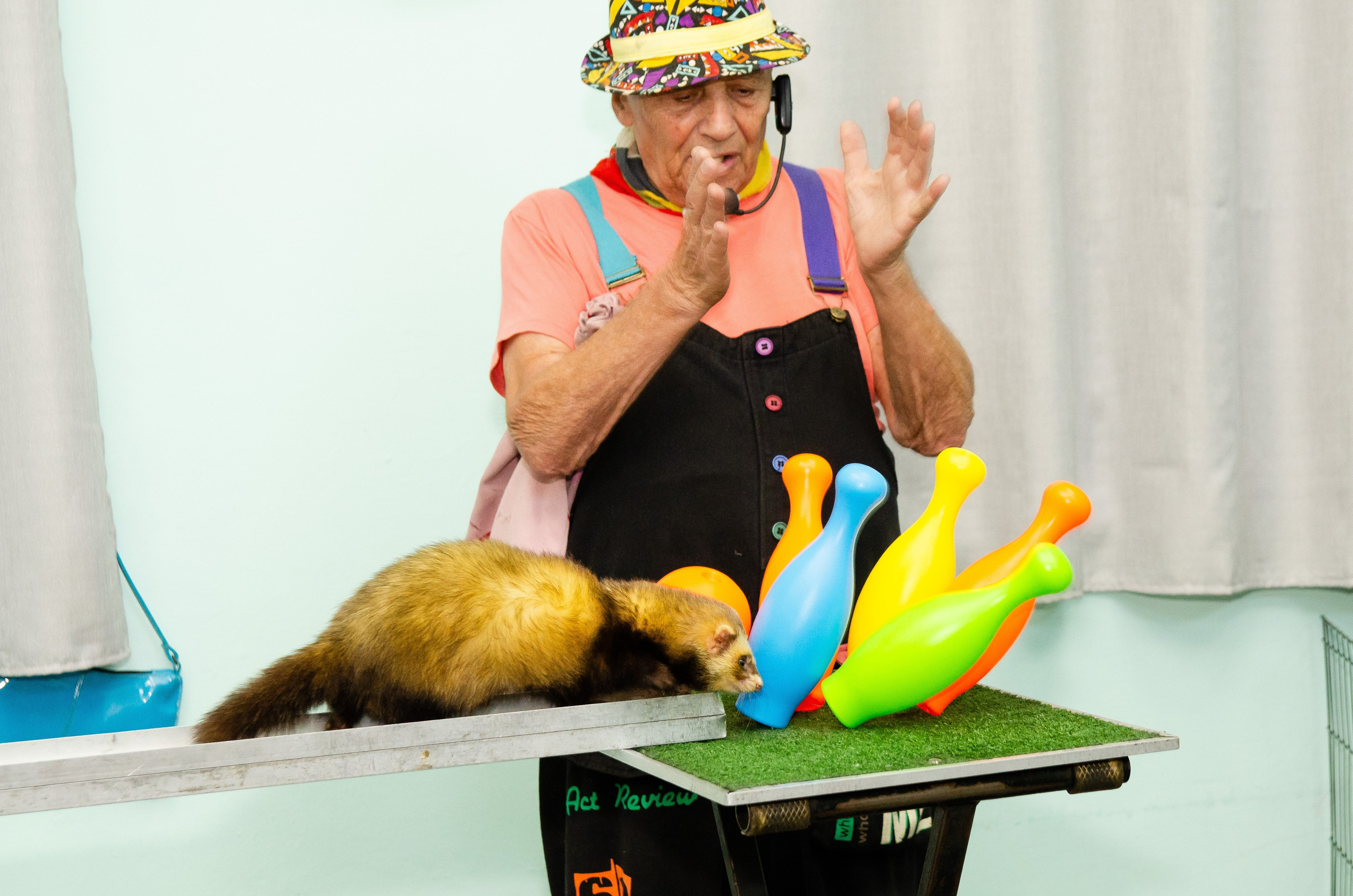 Детский сад Rainbow в Нетании