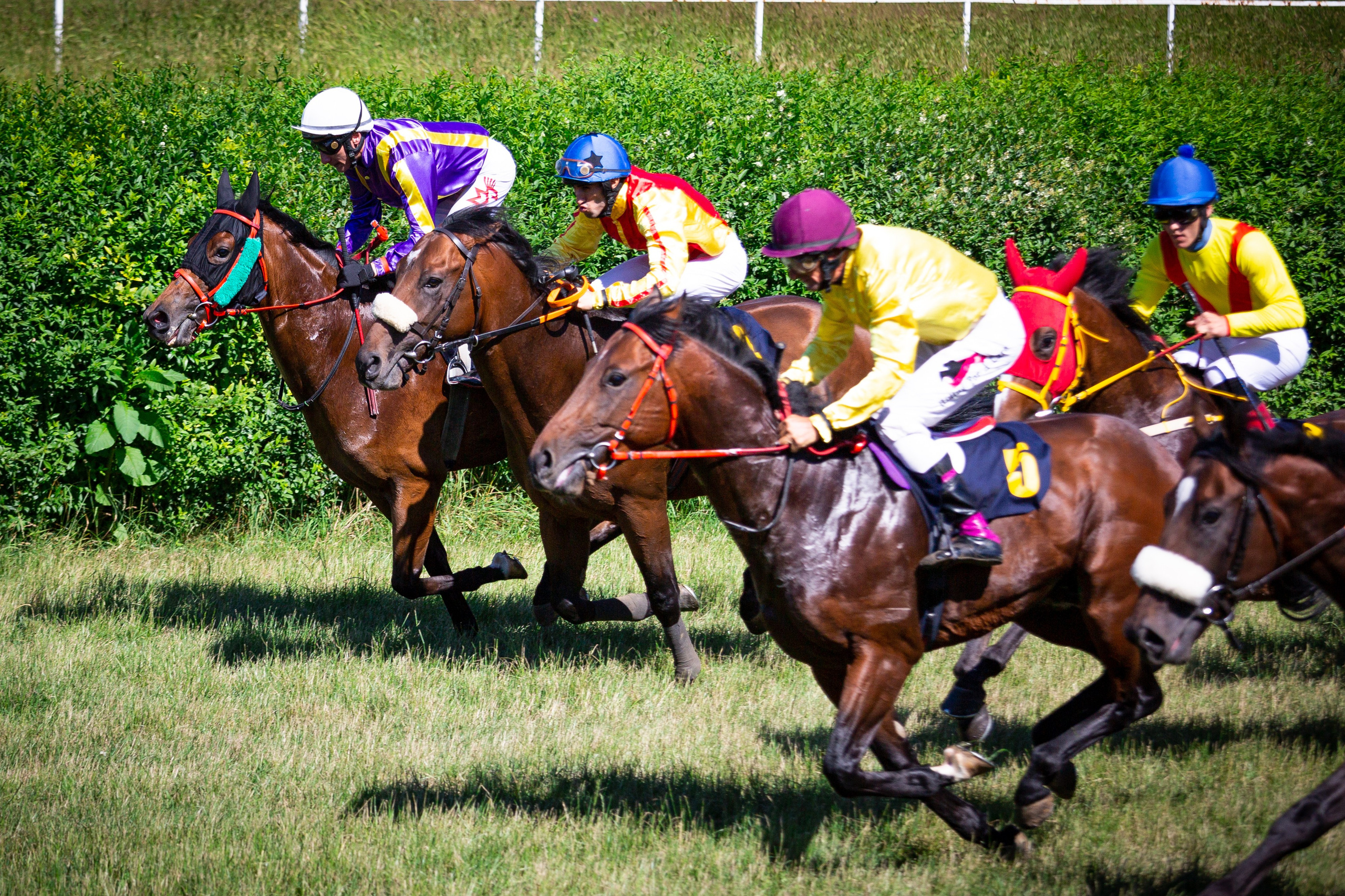 Konjičke trke u Požarevcu. Fotoivanpancevo