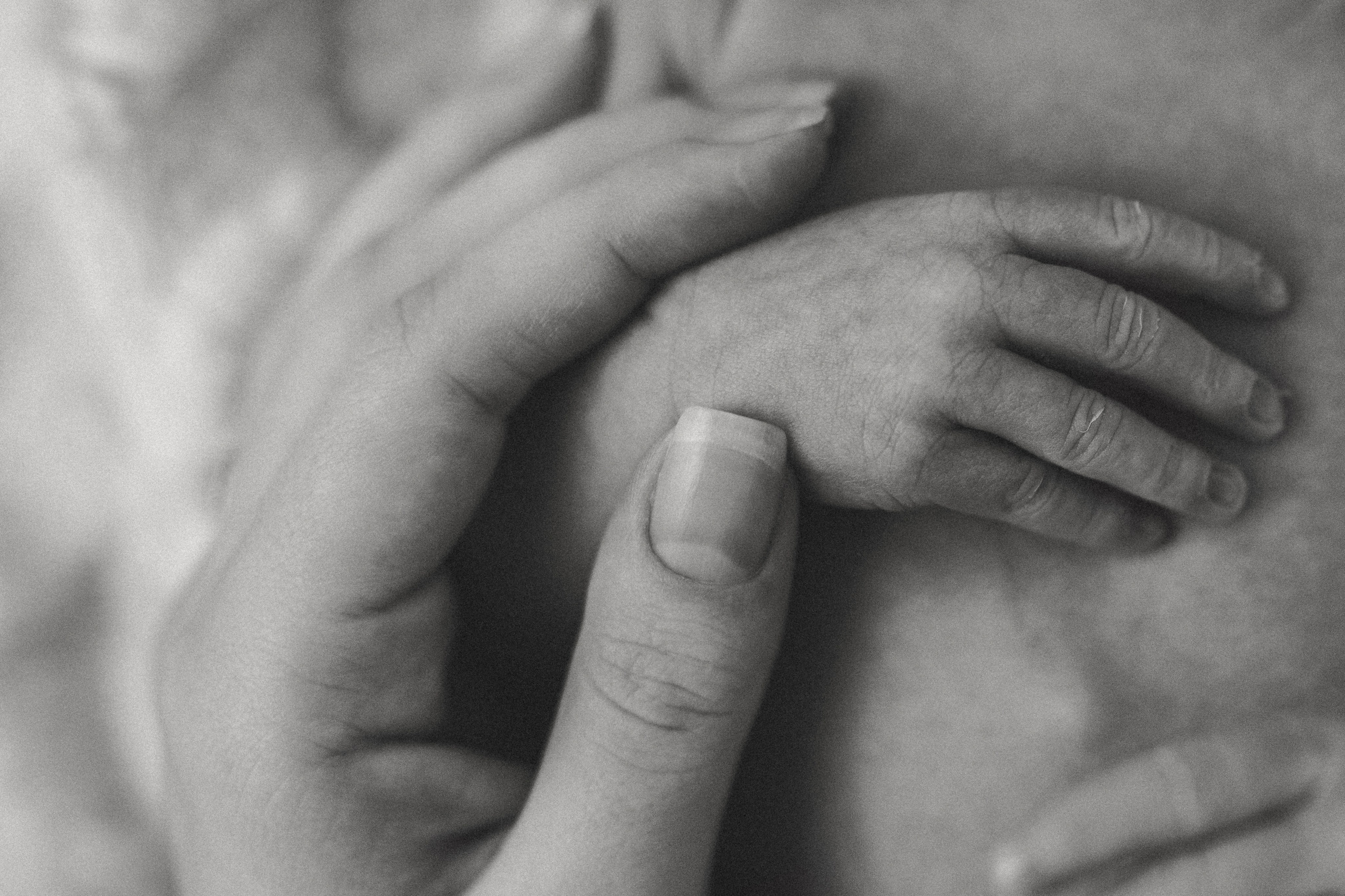 Vaniușa | primele zile de viață. Home