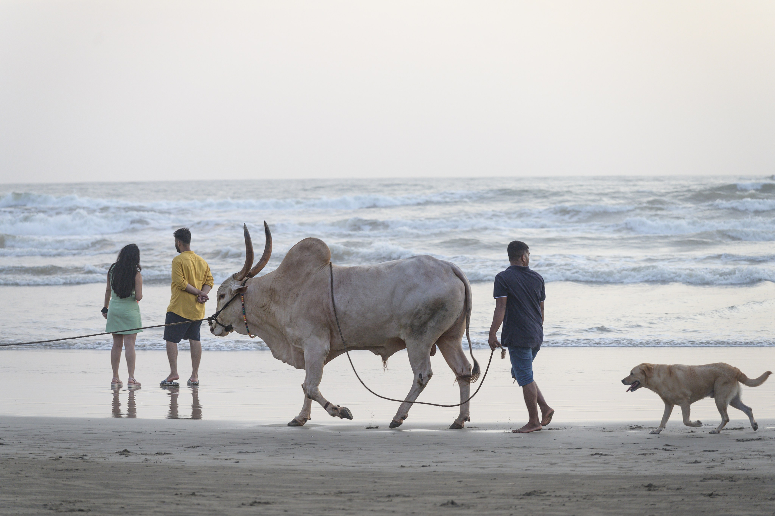 Goa Women Community. Alex Leonidov — Photographer