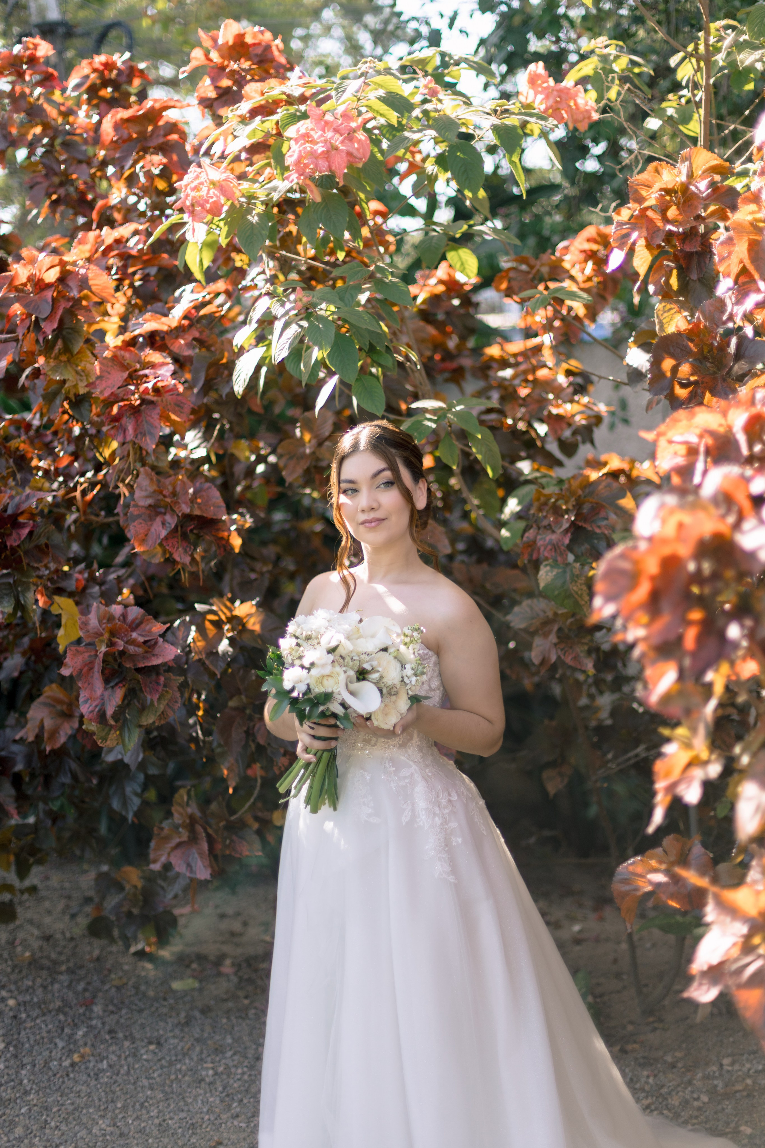 Pérgola Imperial | Editorial. Junior Ribeiro Fotografia