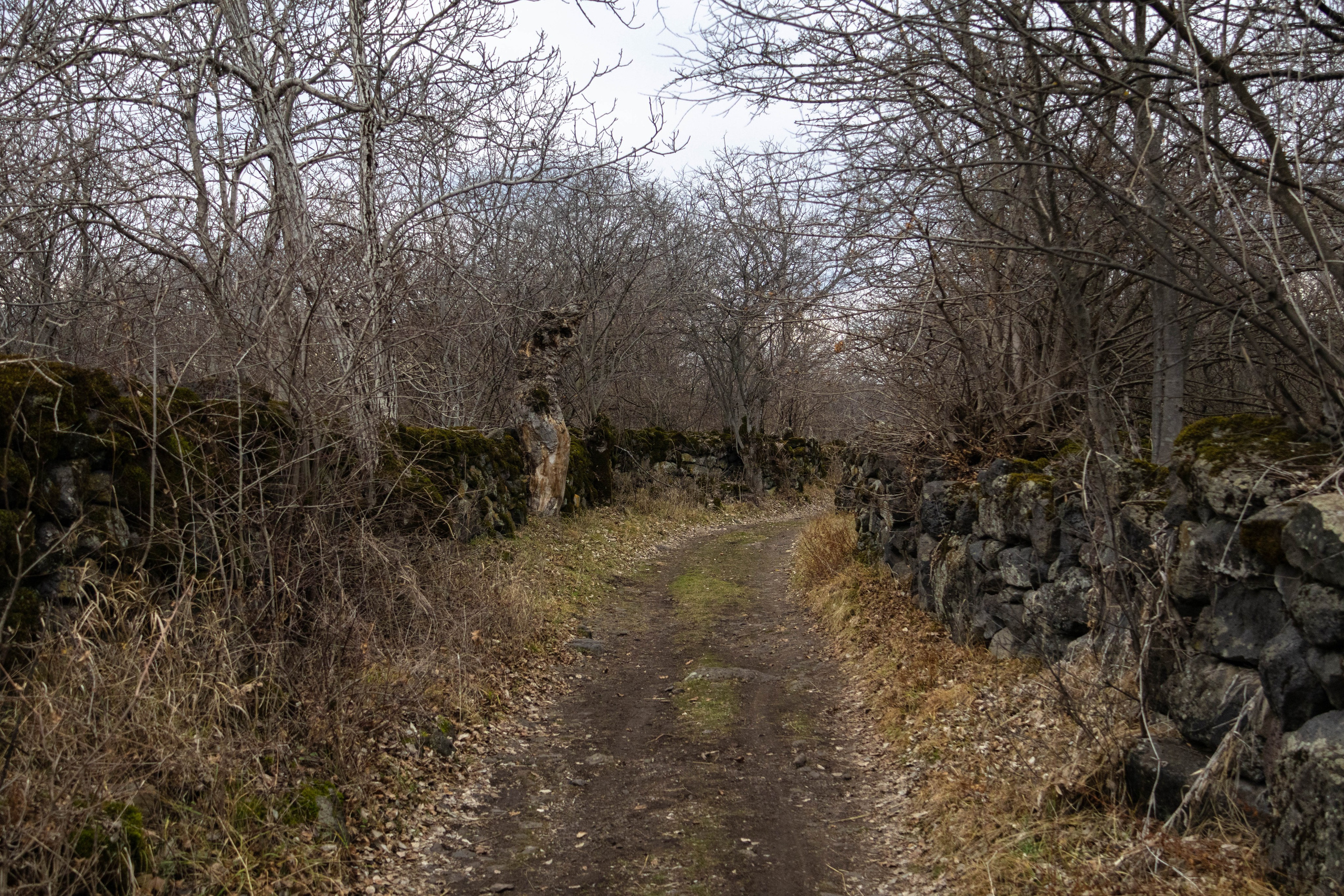 სამშვილდე. FramefreeMan