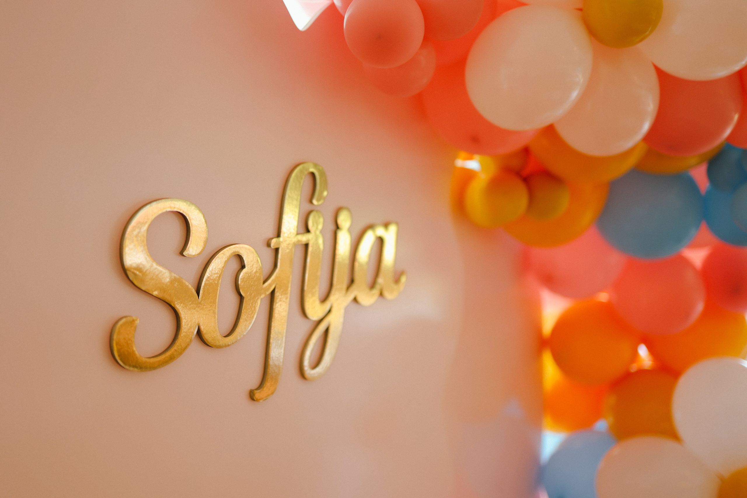 Sofija. Vlada toskic wedding and event photographer