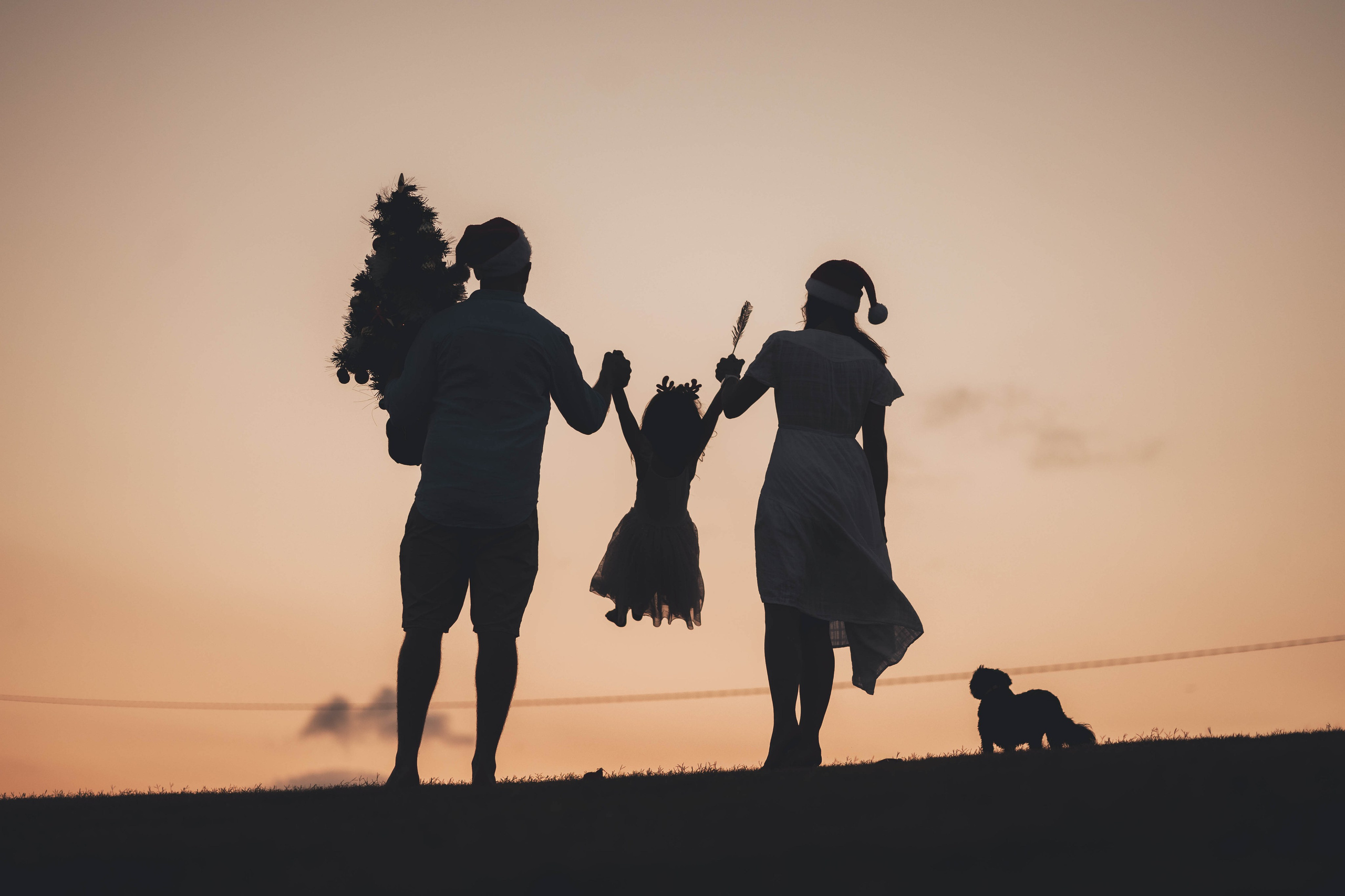 Kat + Andrew + Bella + Roxie. True Story Photography