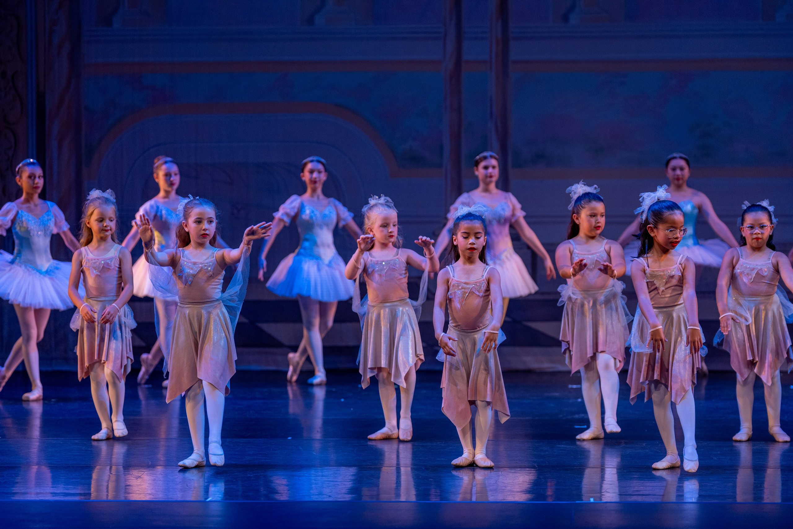 Ballet Photographer. Santa Clarita Photographer