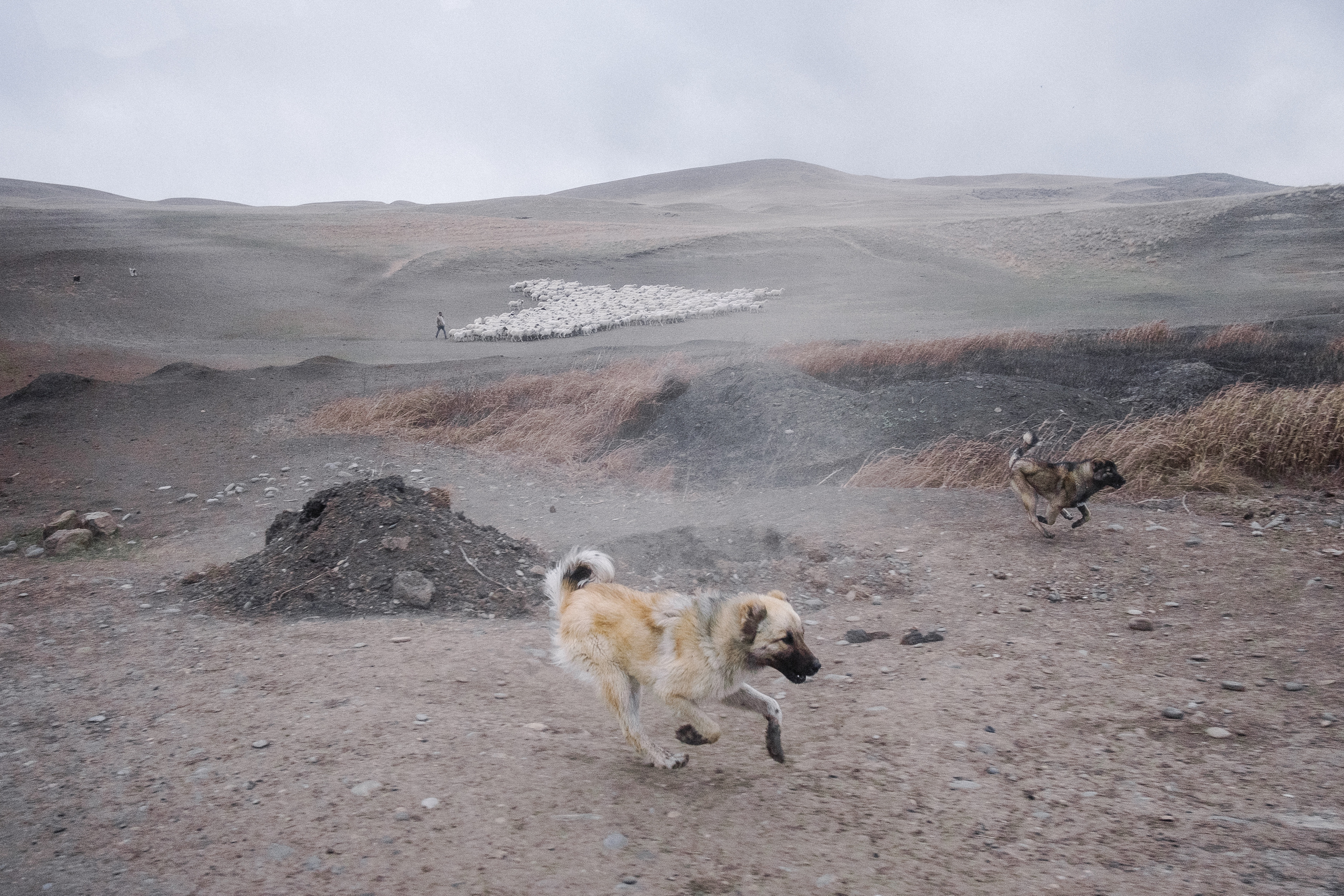 Монастырь Давид Гареджа. Фотограф в Тбилиси. Портрет, репортаж, эвент. Геннадий Демченко