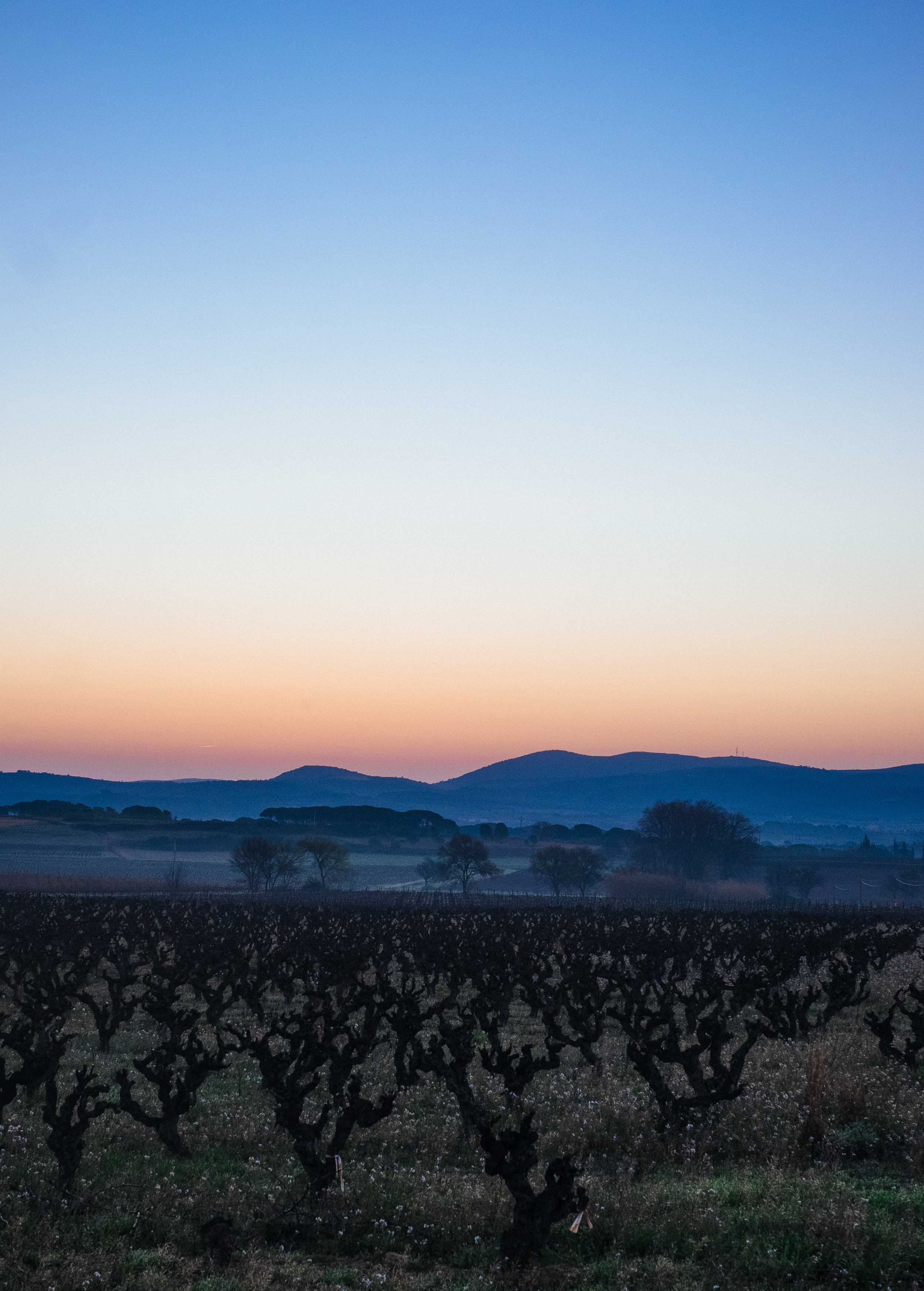 Фрагменты историй. Фотограф в Тбилиси. Портрет, репортаж, эвент. Геннадий Демченко