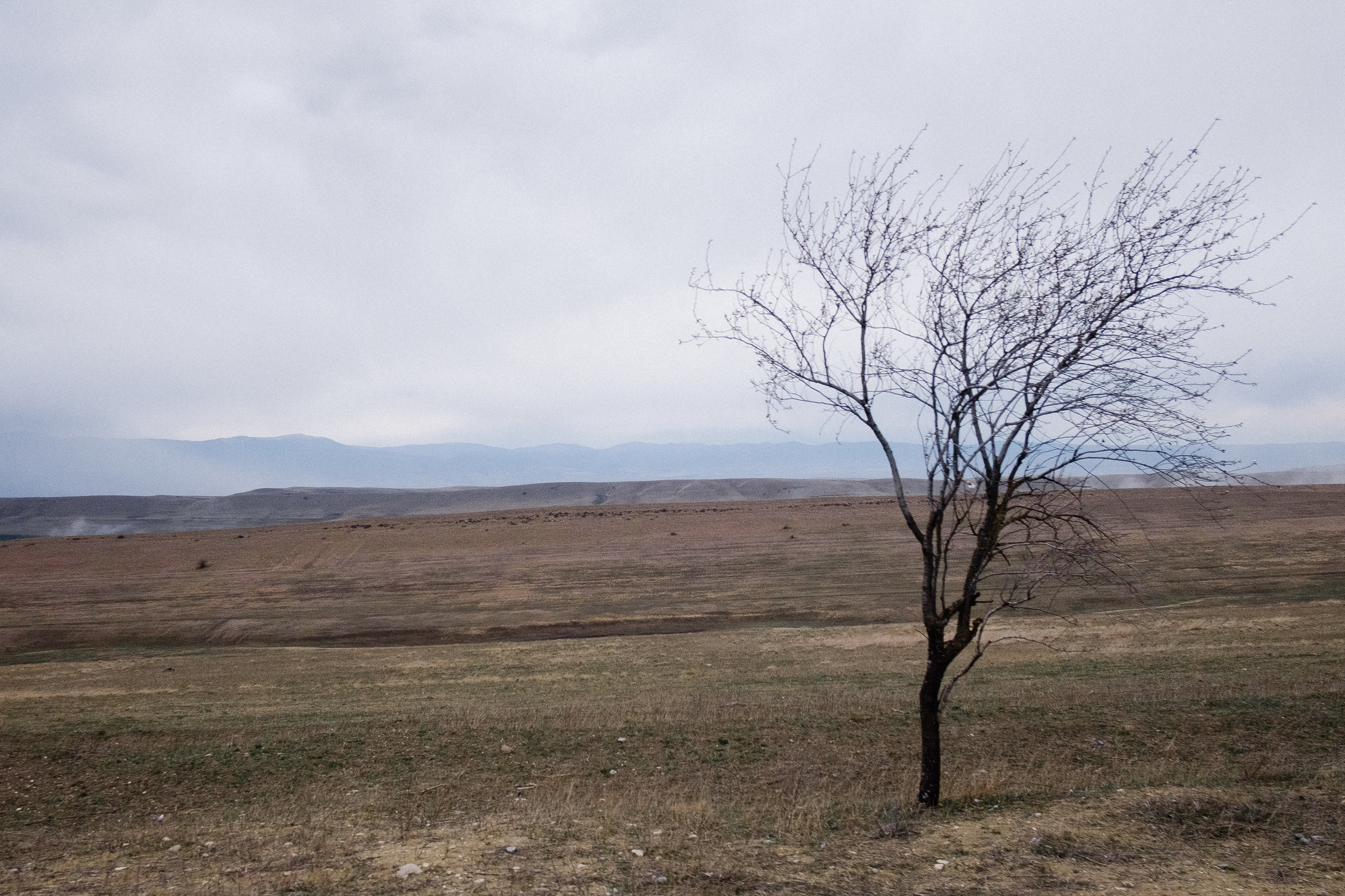 Монастырь Давид Гареджа. Фотограф в Тбилиси. Портрет, репортаж, эвент. Геннадий Демченко