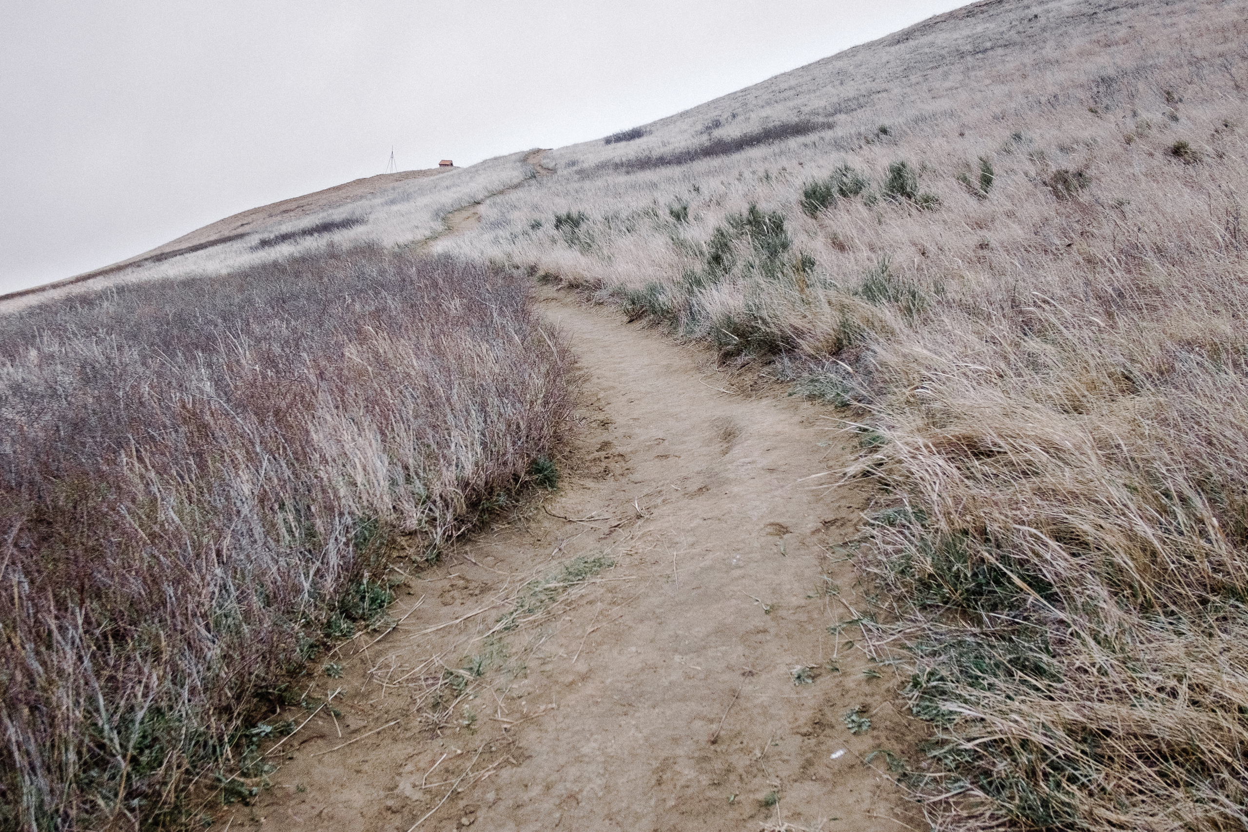 Монастырь Давид Гареджа. Фотограф в Тбилиси. Портрет, репортаж, эвент. Геннадий Демченко